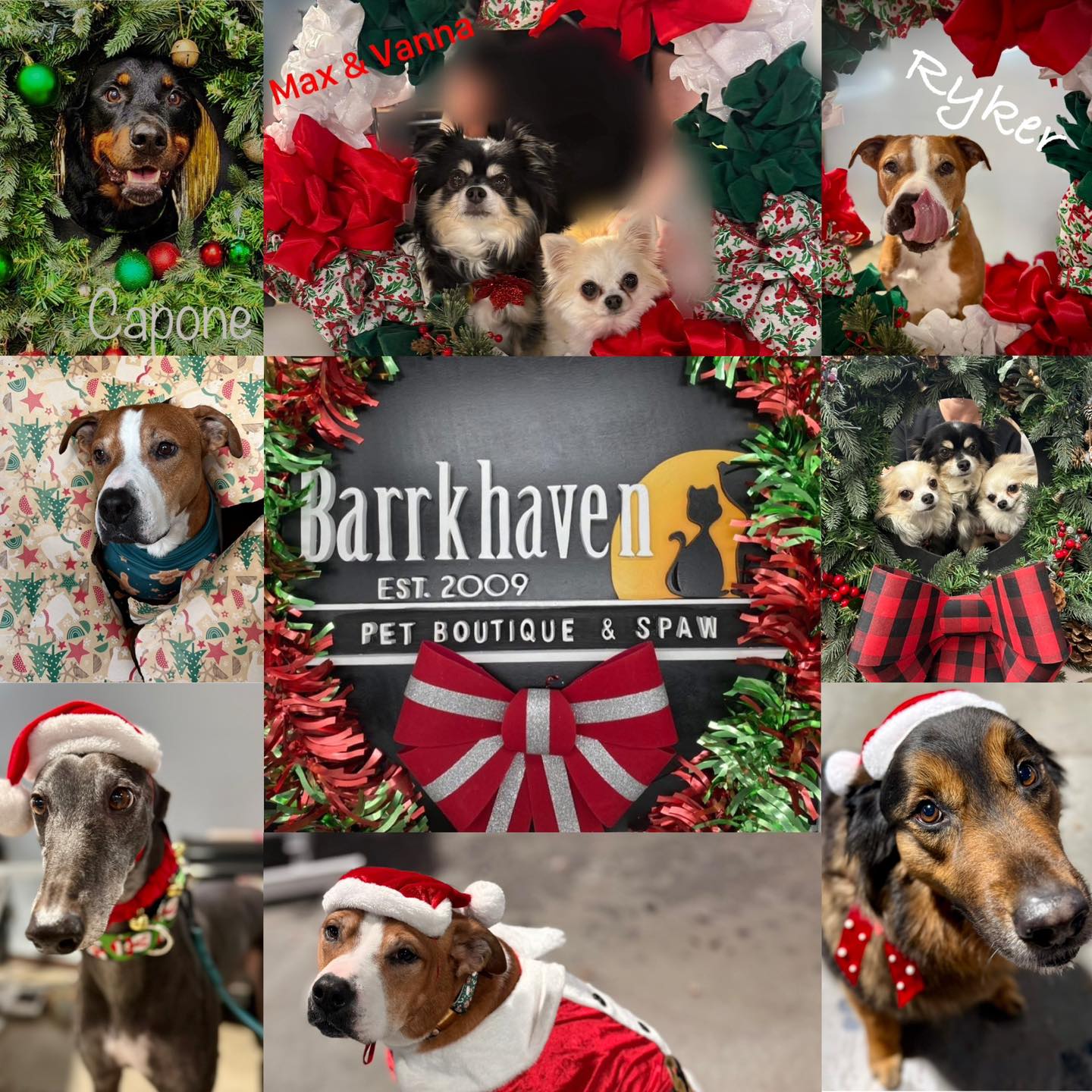 Barrkhaven Pet Boutique and Spaw Nepean