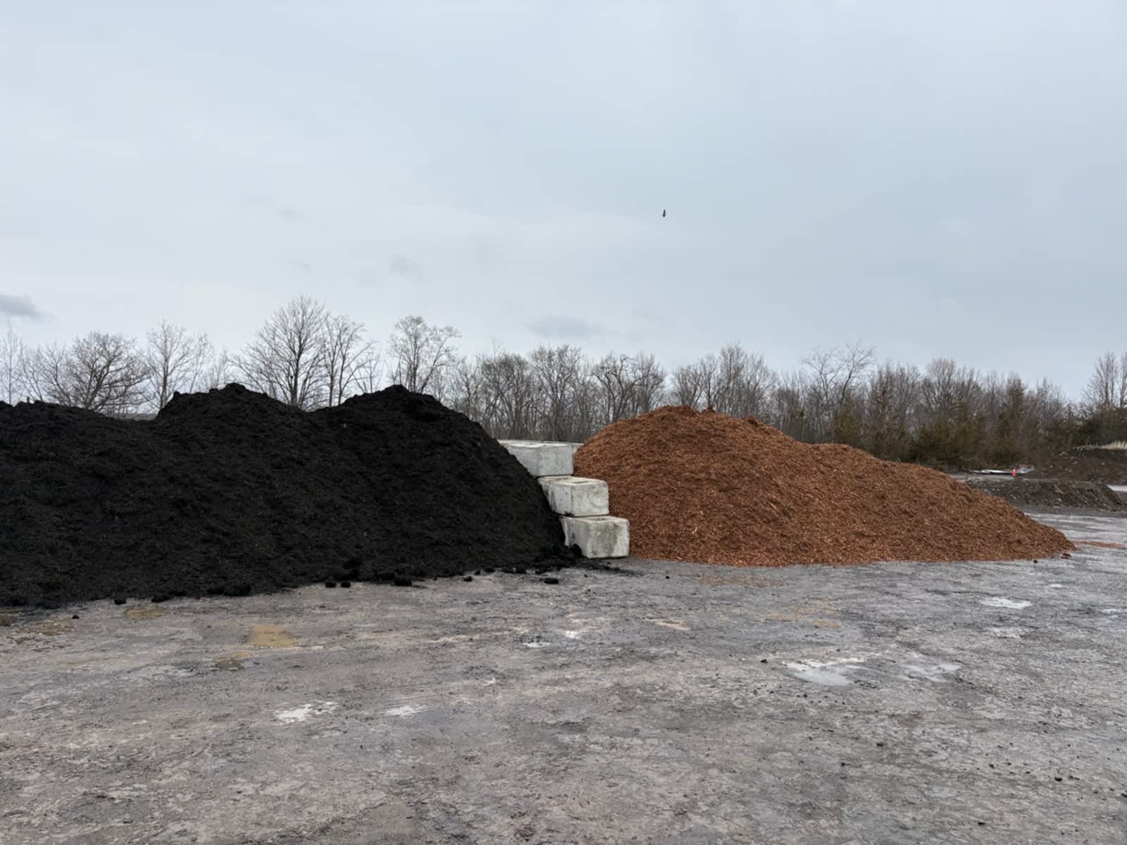 Photo credit: yellowpages.ca