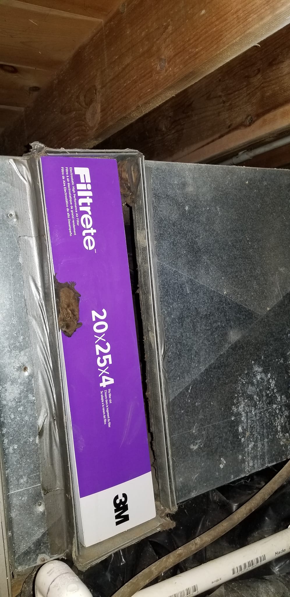King's Home Inspections and Services