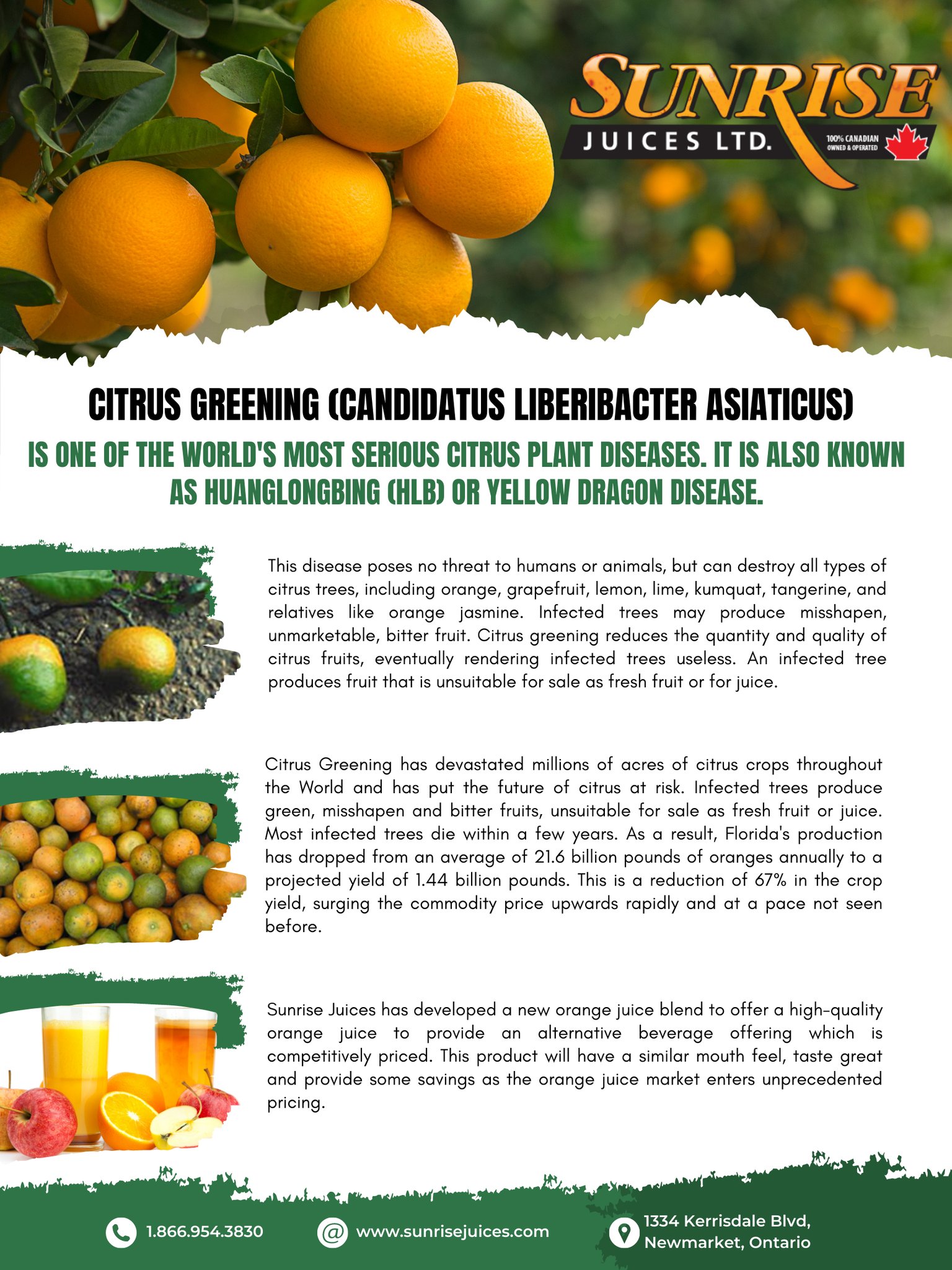 Sunrise Juices Ltd
