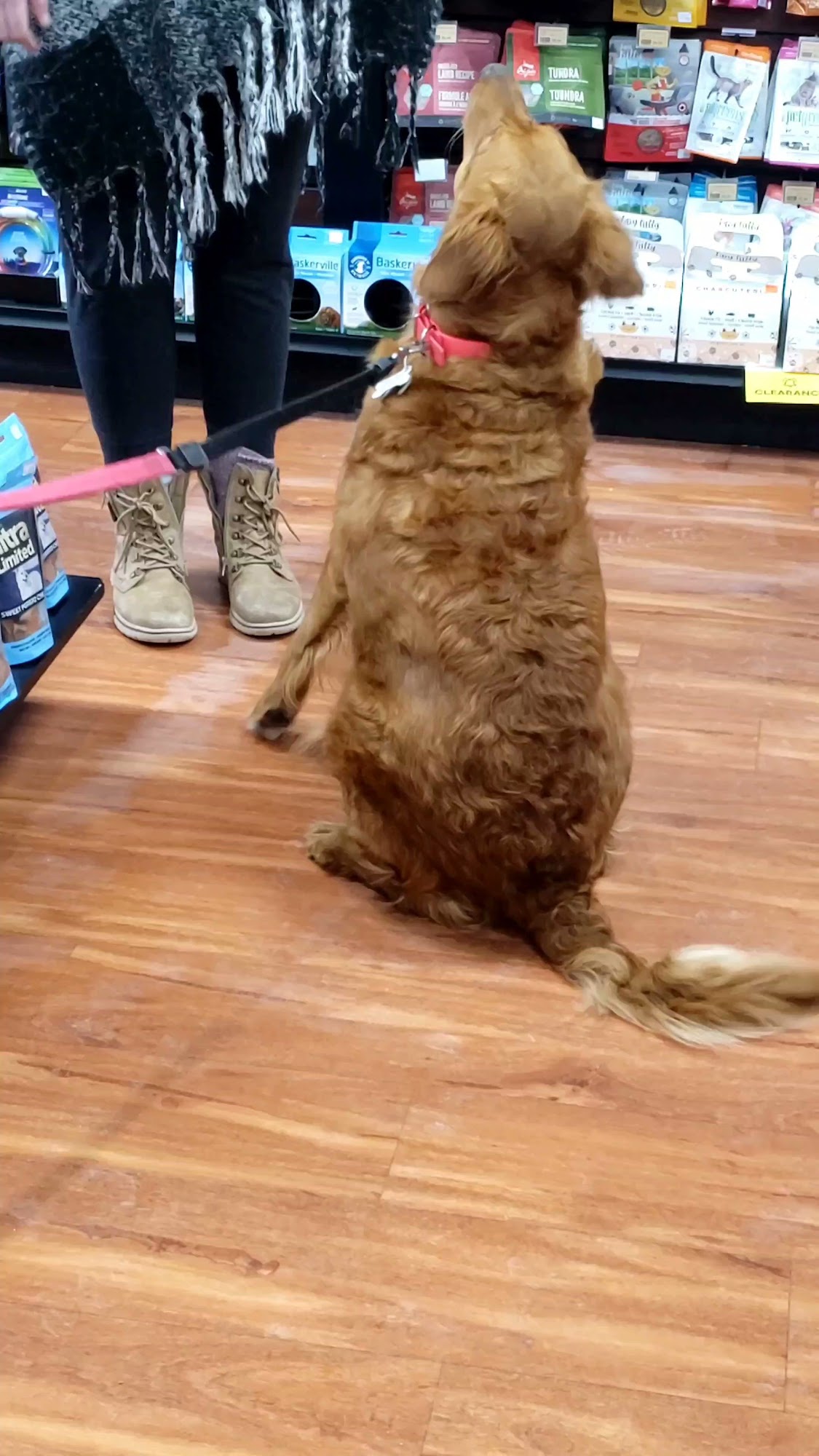 Pet Valu Newmarket