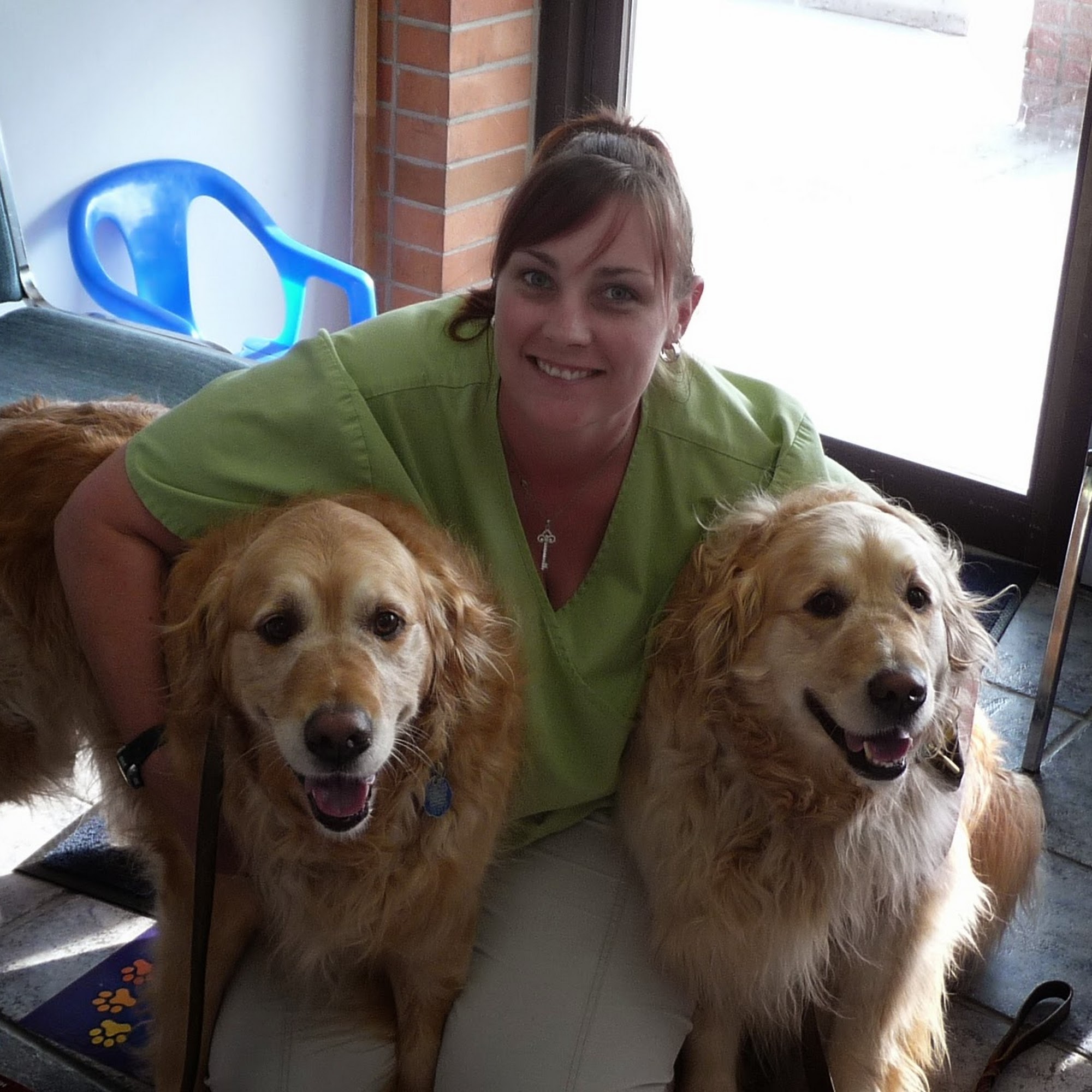 Quaker Hill Veterinary Hospital Newmarket