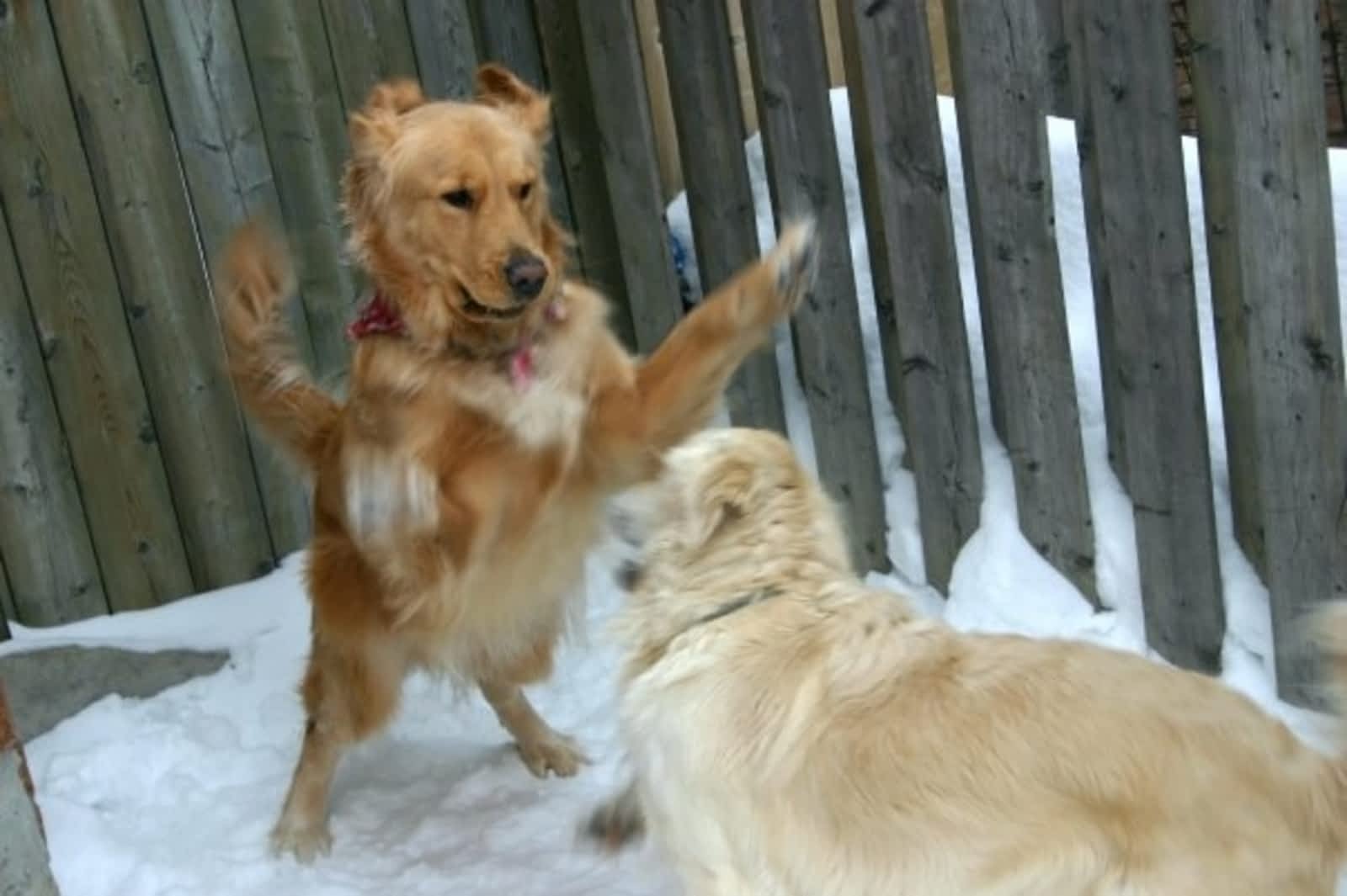 Photo credit: yellowpages.ca