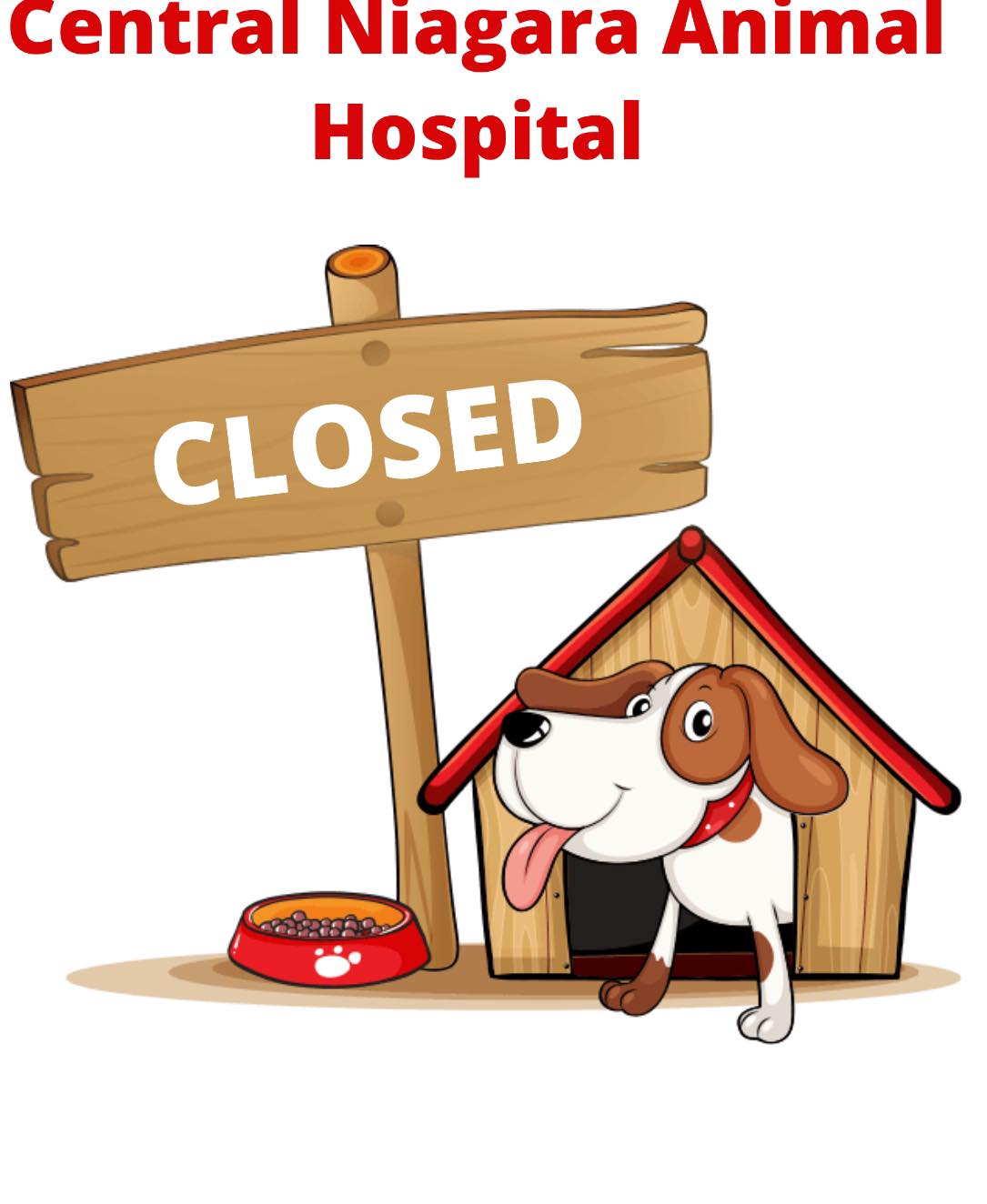 Central Niagara Animal Hospital Niagara Falls