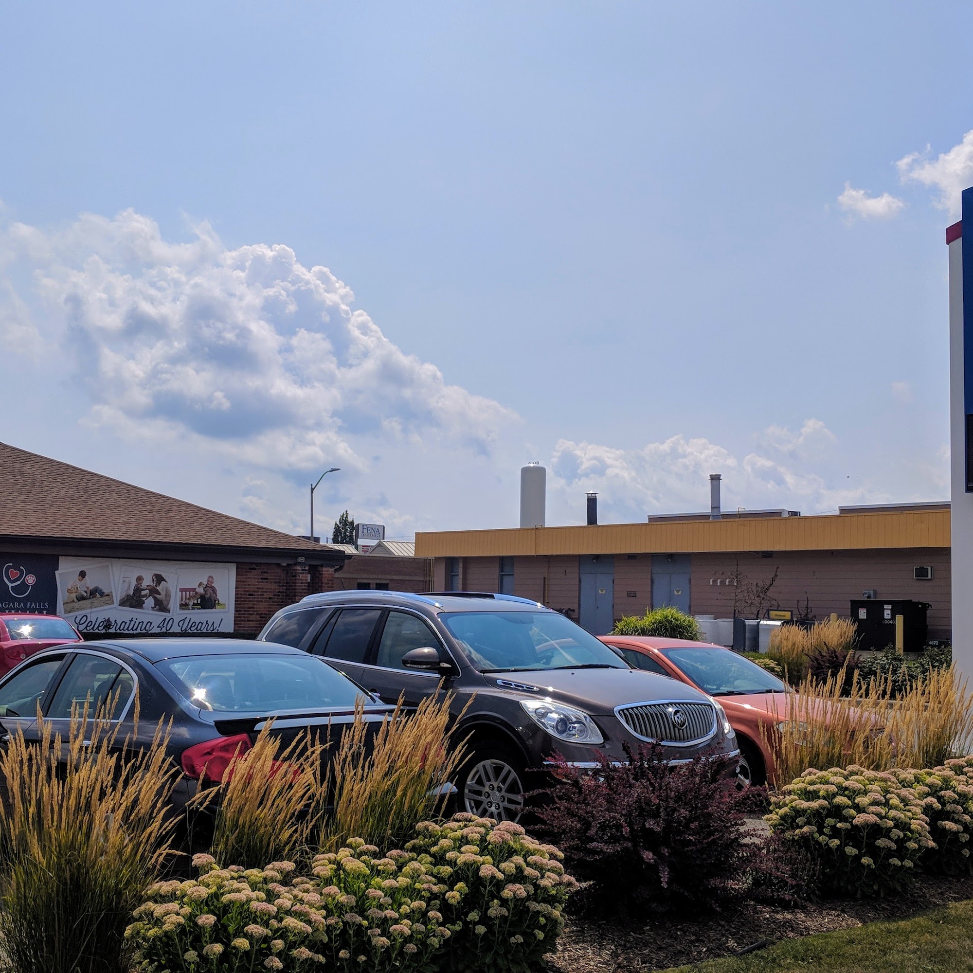 Niagara Falls Animal Medical Centre Niagara Falls