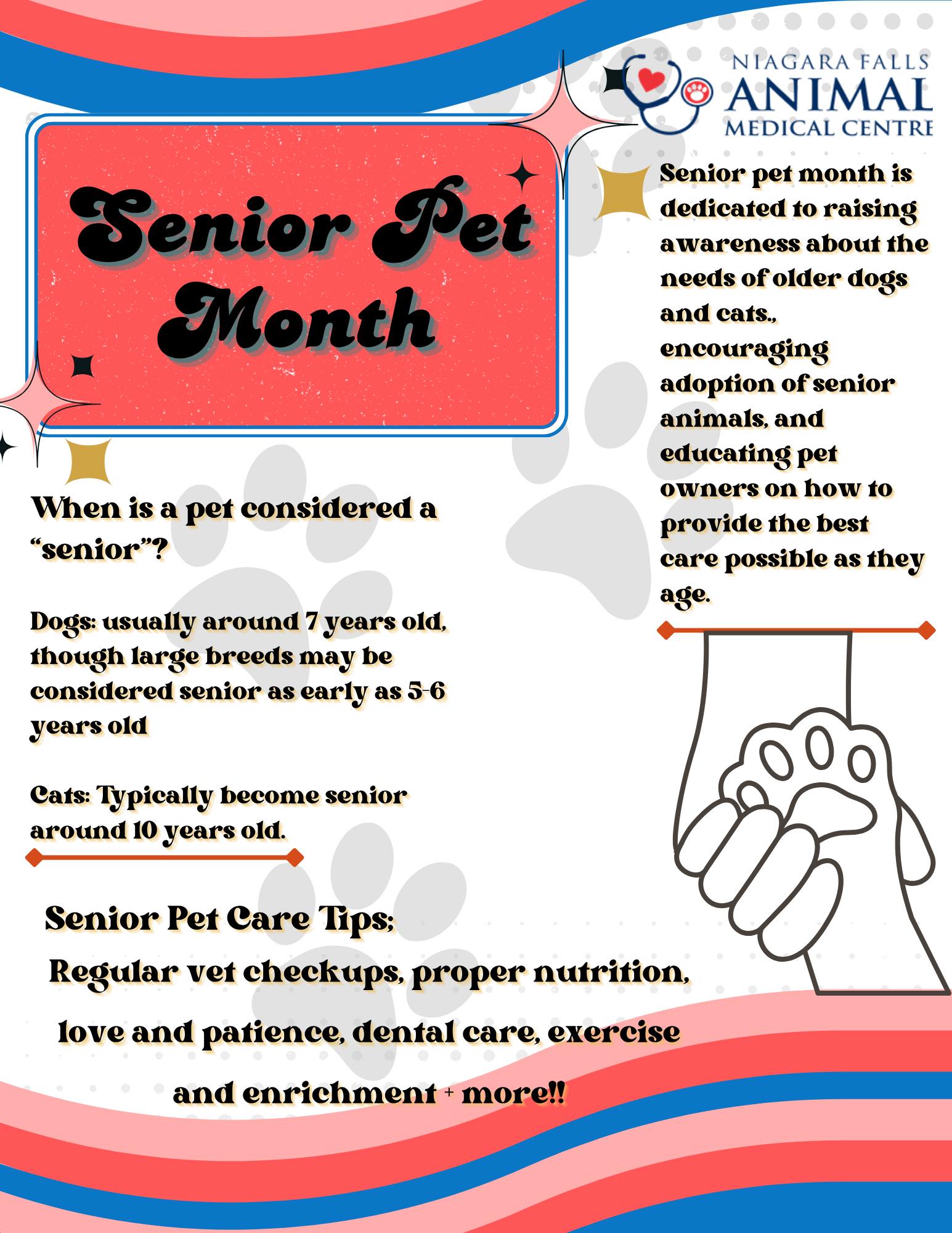 Niagara Falls Animal Medical Centre Niagara Falls