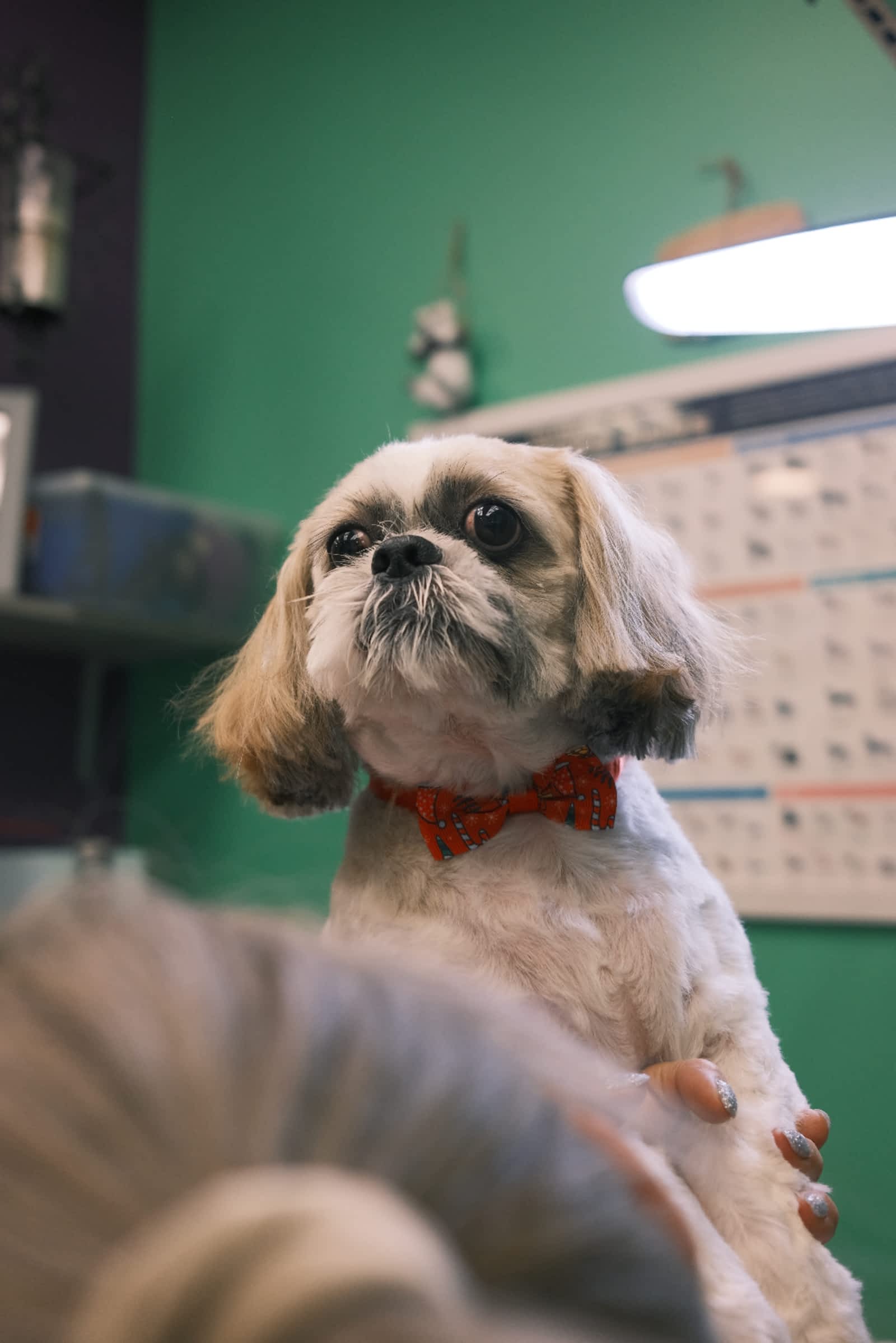 Photo credit: yellowpages.ca