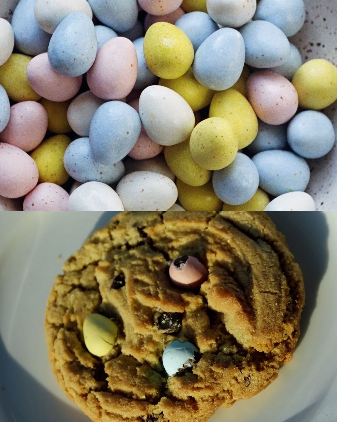 Twiggs Coffee Roasters North Bay