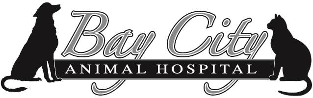 Bay City Animal Hospital North Bay