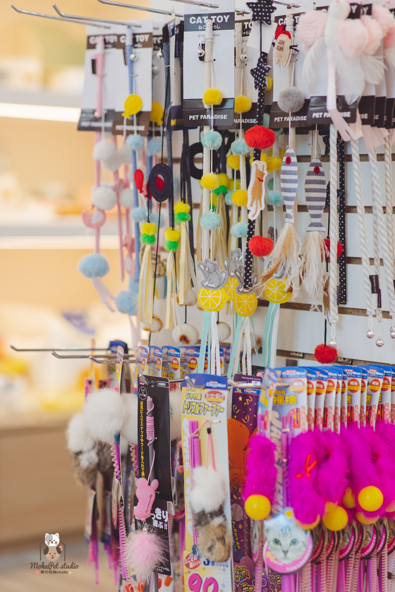 摩卡宠物会所MokaPetStudio North York