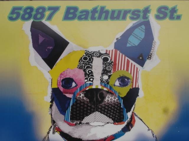 Upper Bathurst Animal Clinic North York