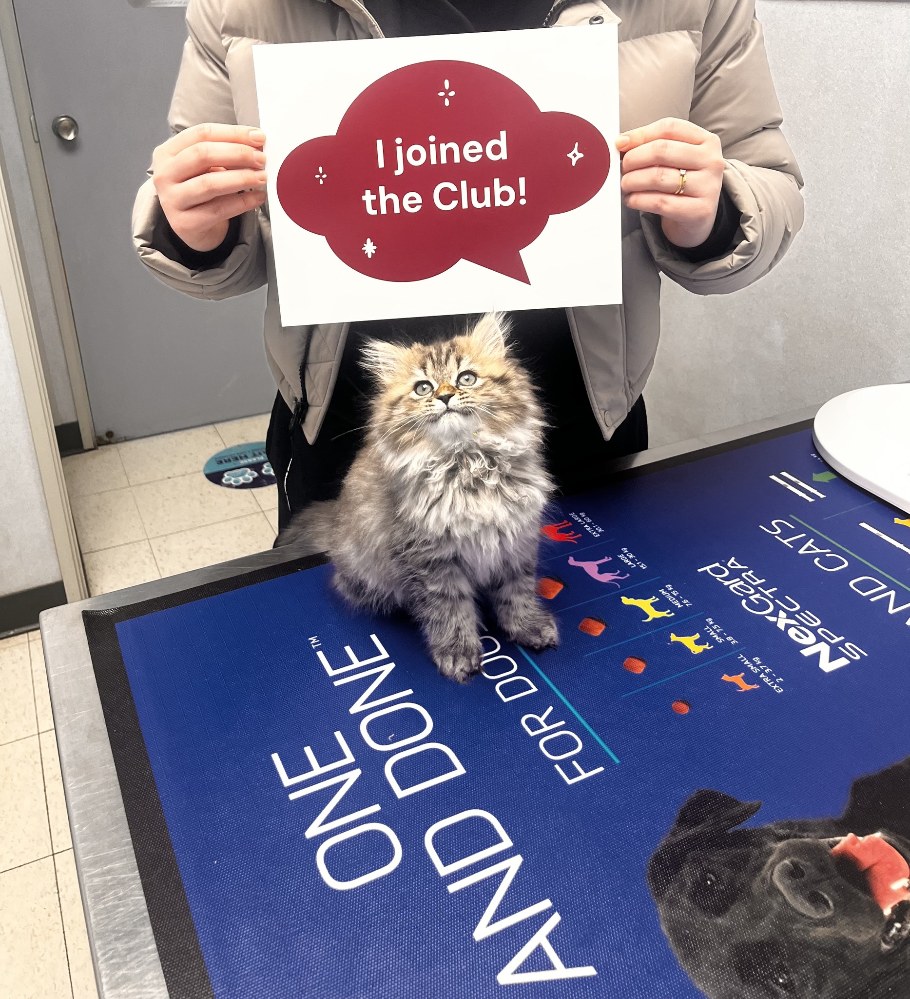 Seneca Animal Clinic North York