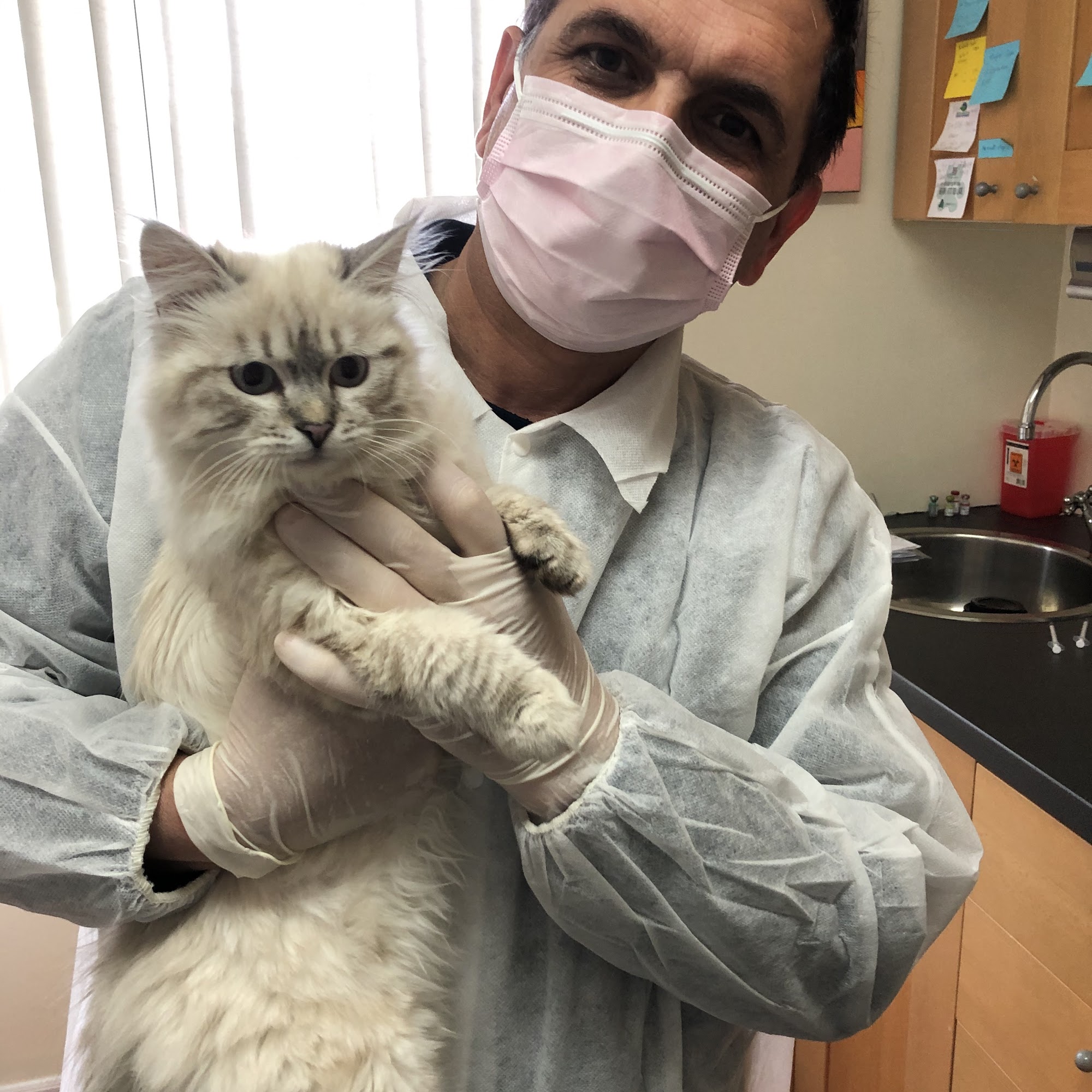 Toronto North Animal Hospital North York