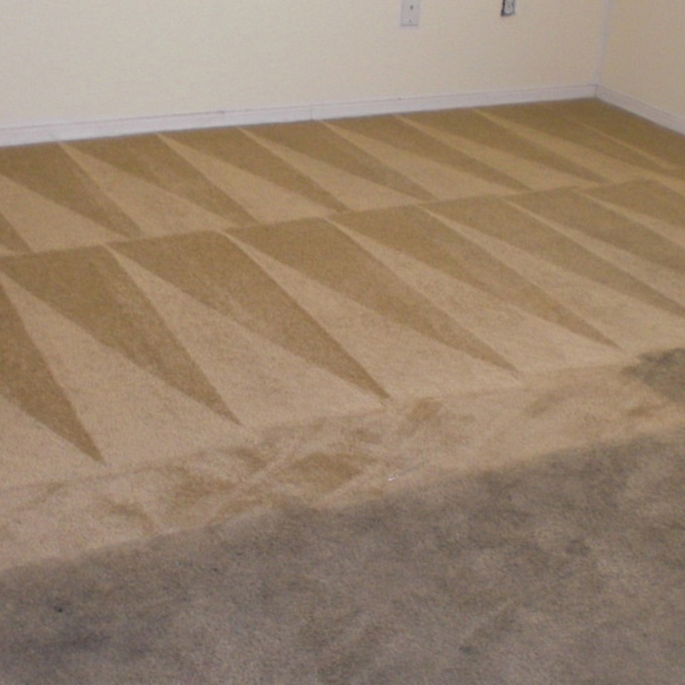 Metro Carpet Cleaning