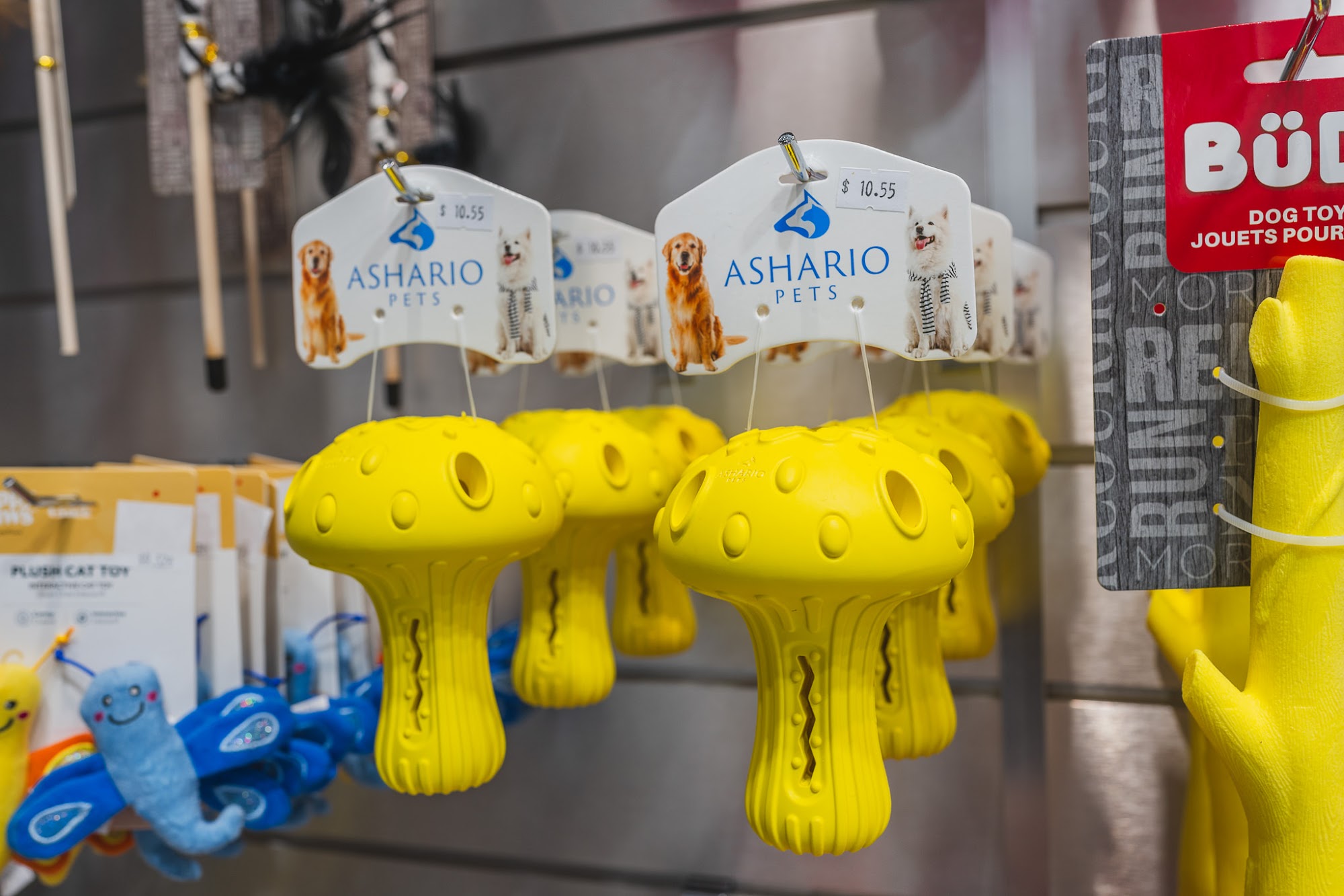 Ashario Pet Store - Pet Supplies, Pet Food, Health & Wellness - North York, Toronto - 1111A Finch Ave West Unit 2 - M3J 2P7 North York