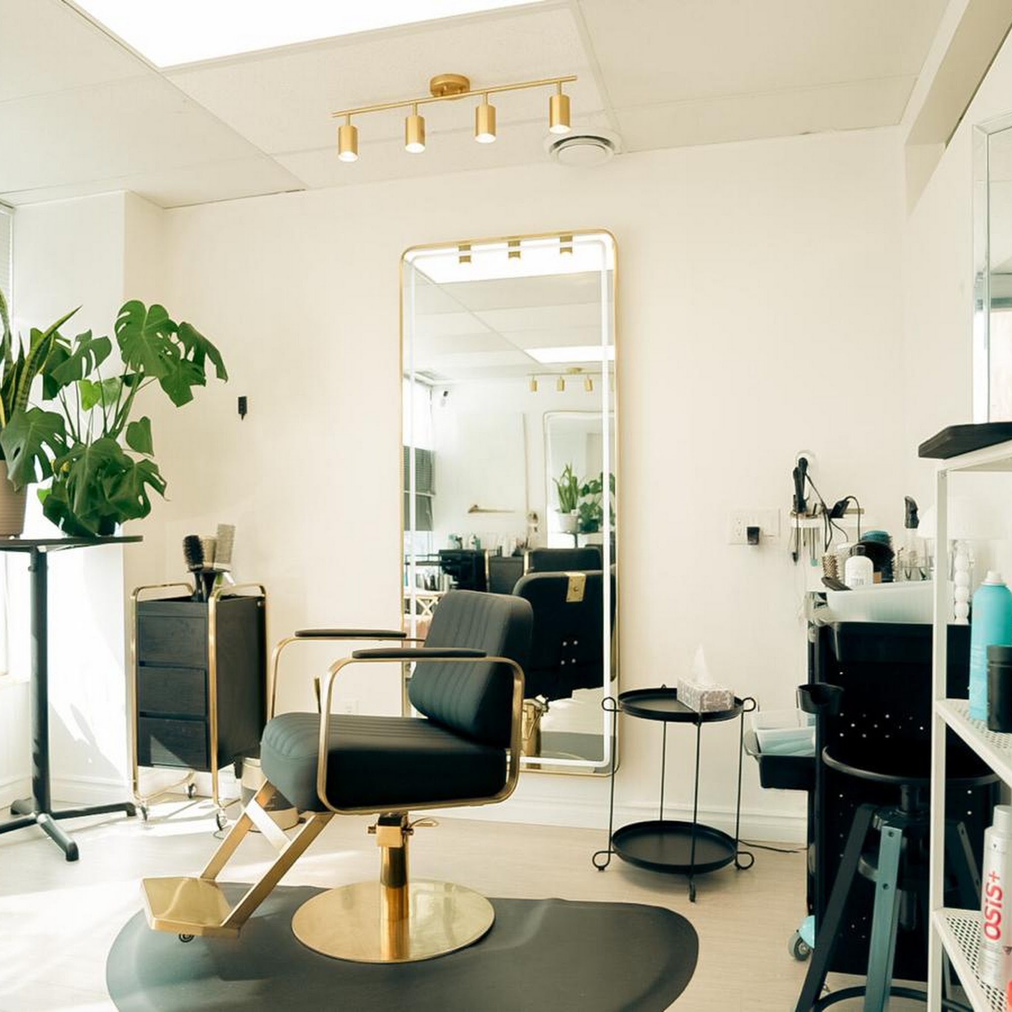 Biro Hair Studio Inc. 250 Sheppard Ave E Unit 203, North York Ontario M2N 6M9