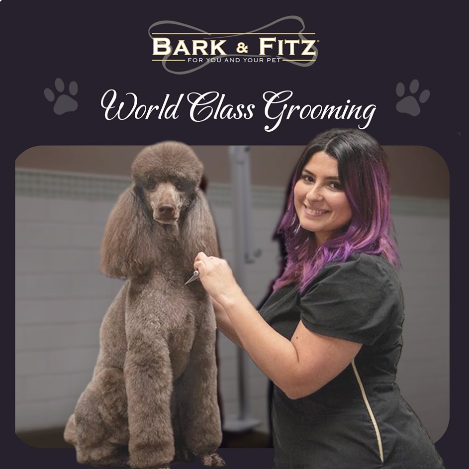 Bark & Fitz - South Oakville Oakville