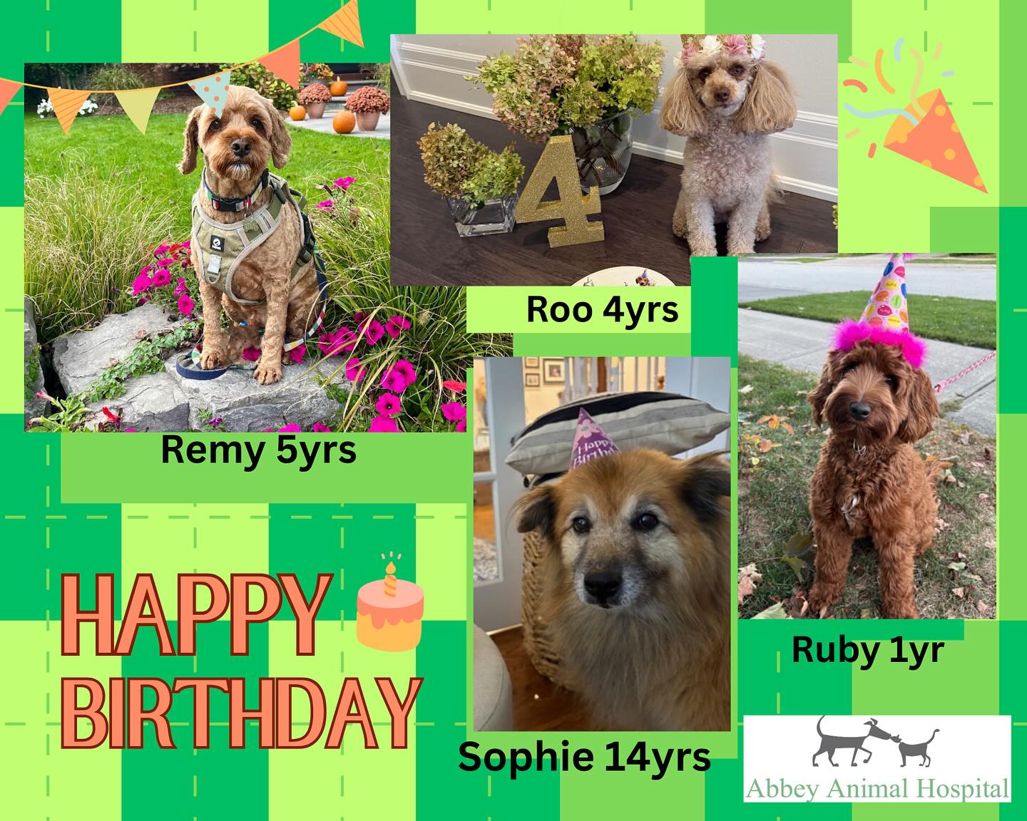 Abbey Animal Hospital Oakville