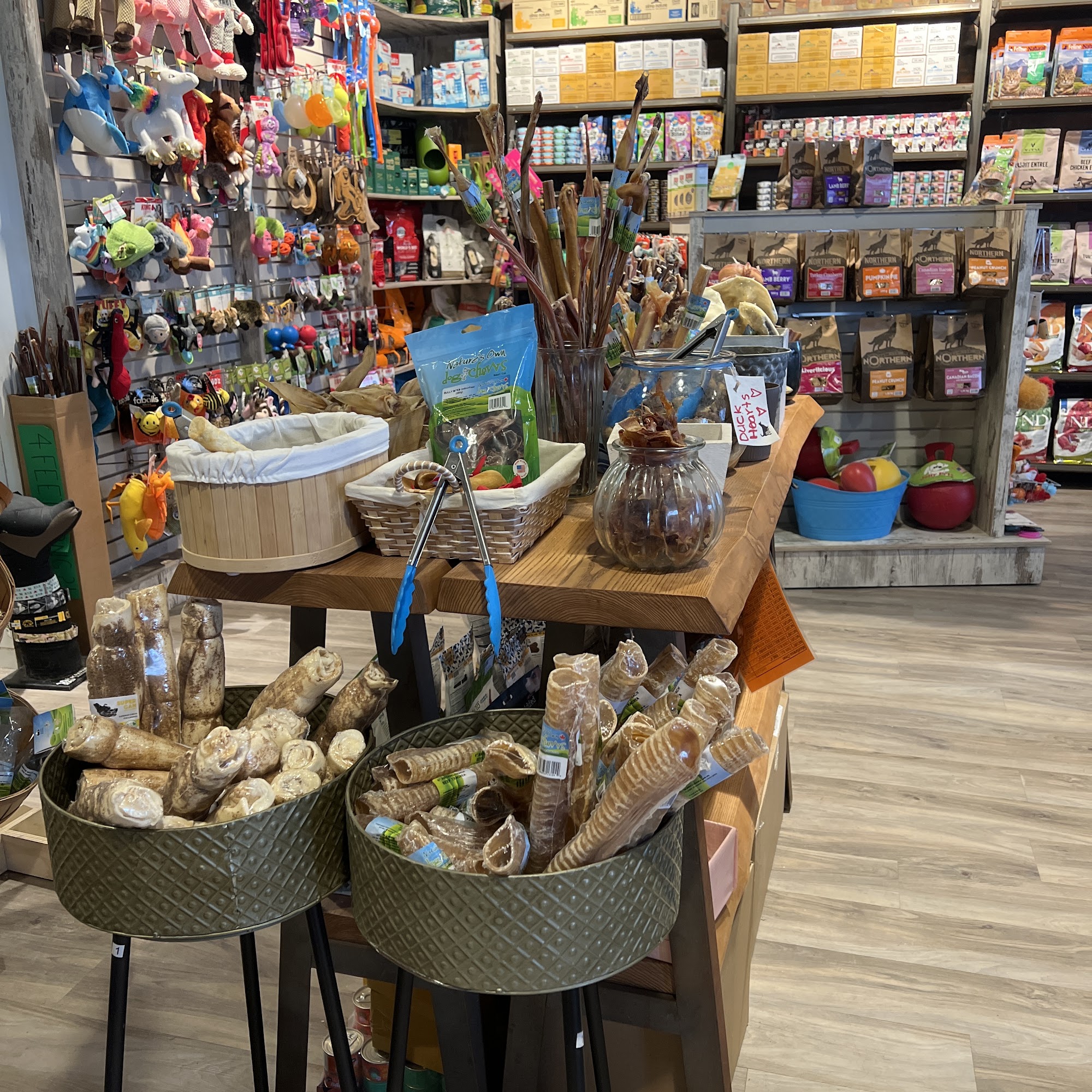 Tail Blazers Oakville Oakville