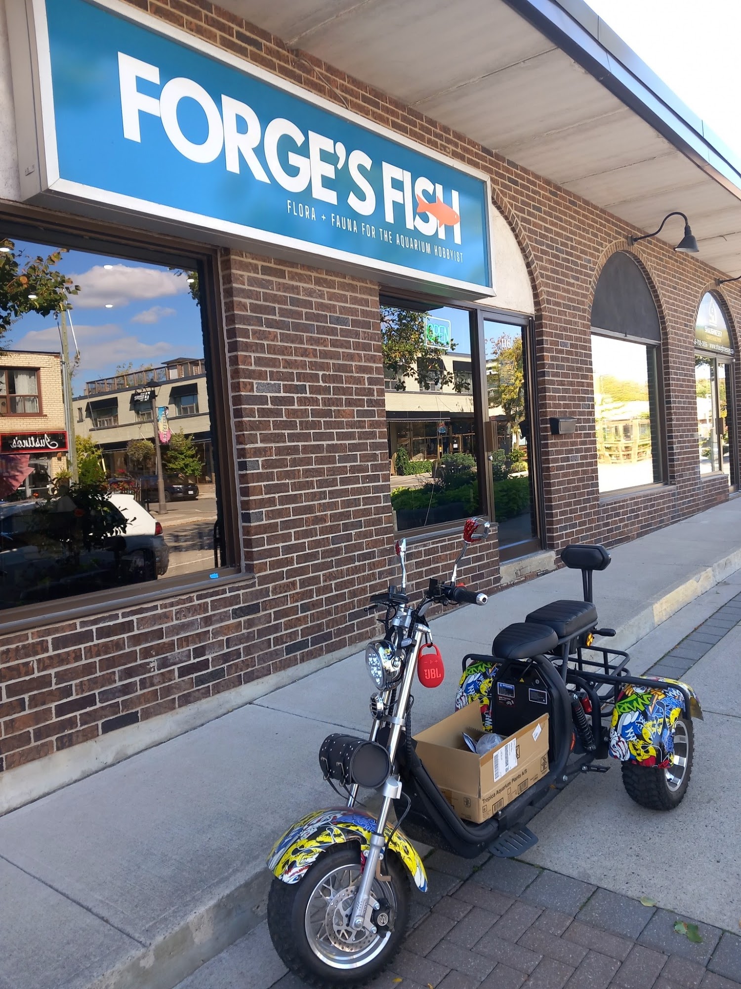 Forge's Fish Oakville