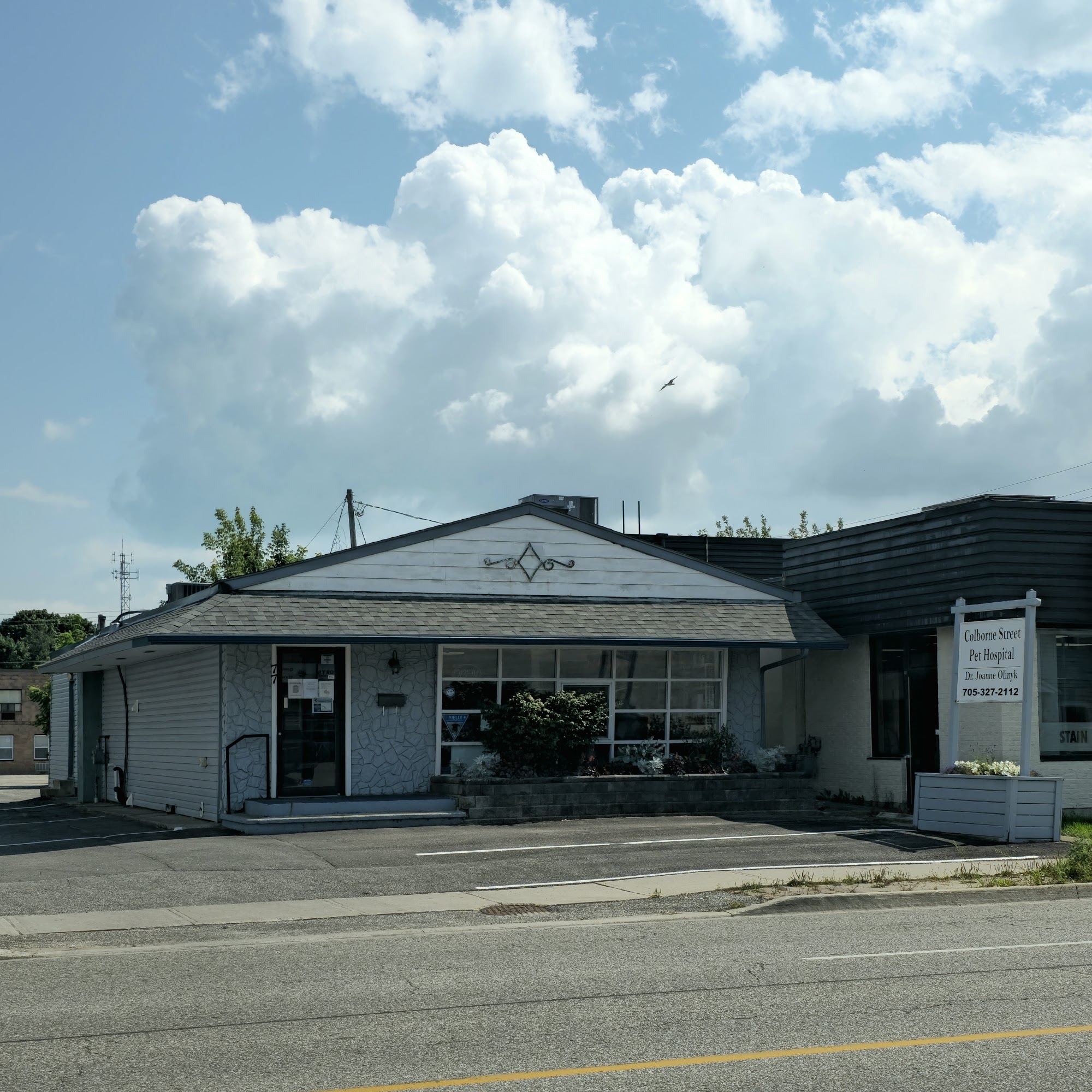 Colborne Street Pet Hospital Orillia