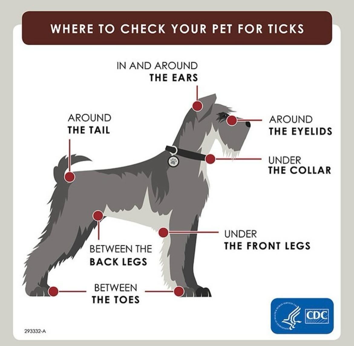 Orleans Veterinary Hospital Orleans