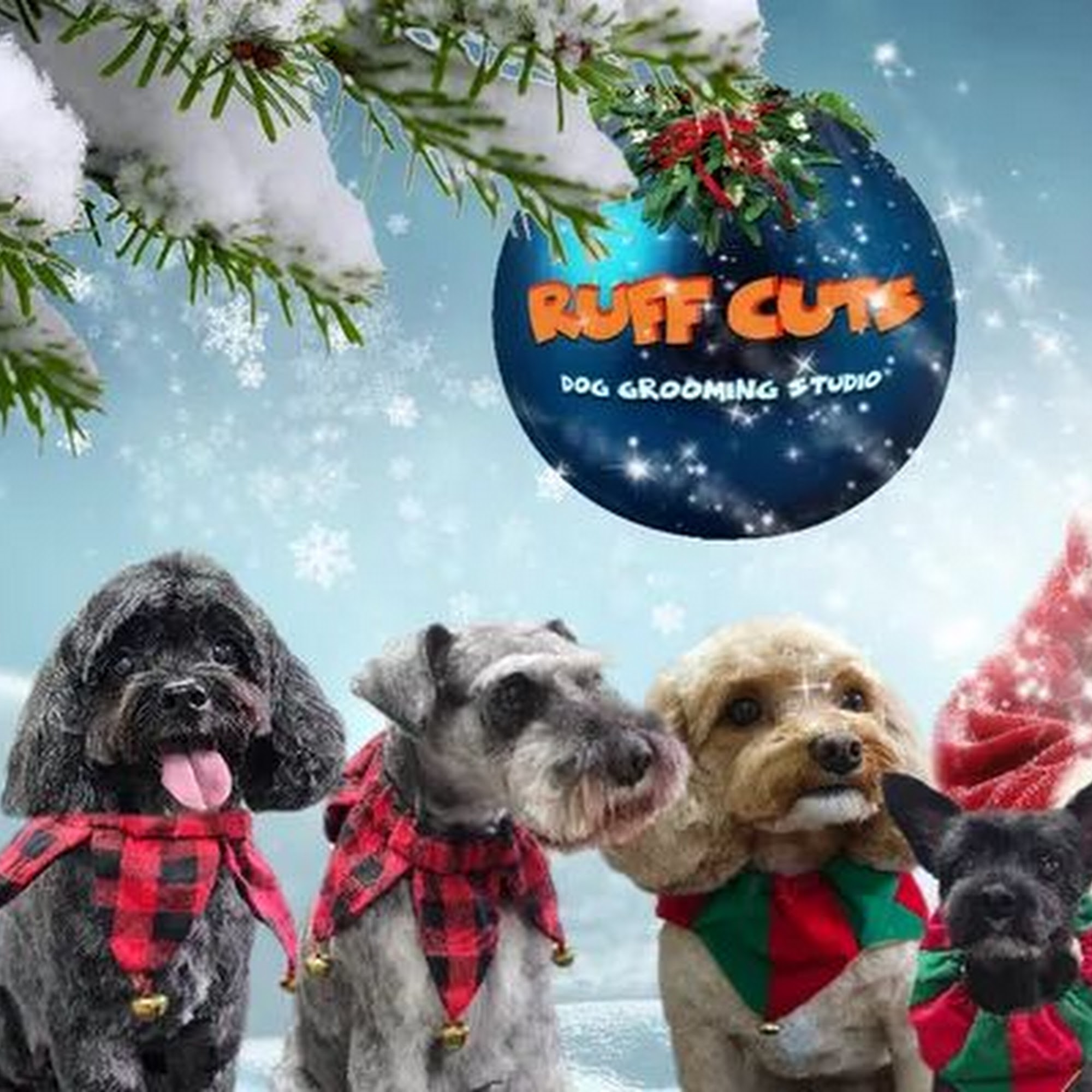 Ruff Cuts Dog Grooming Studio Orleans