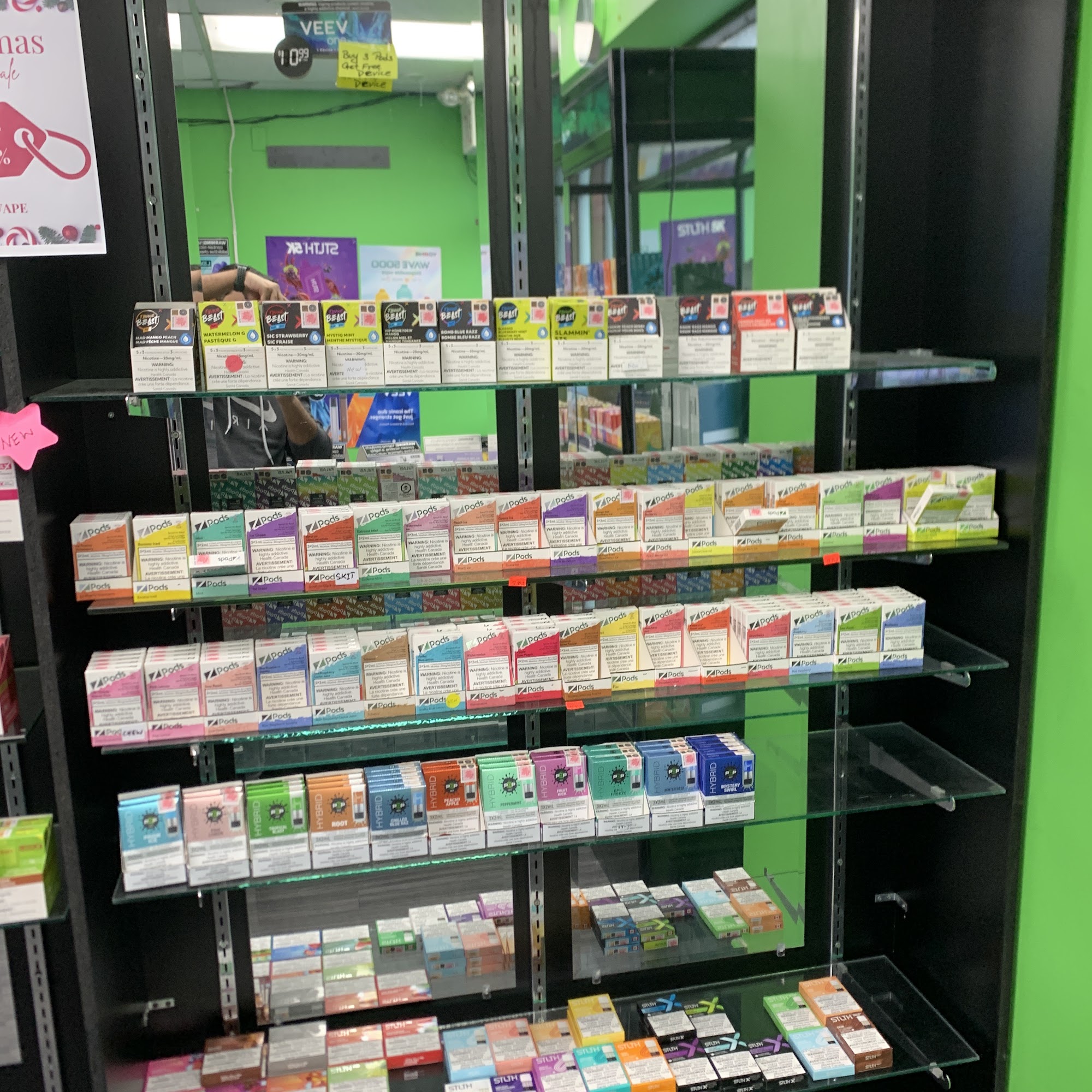 Hollywood Hounds Orleans