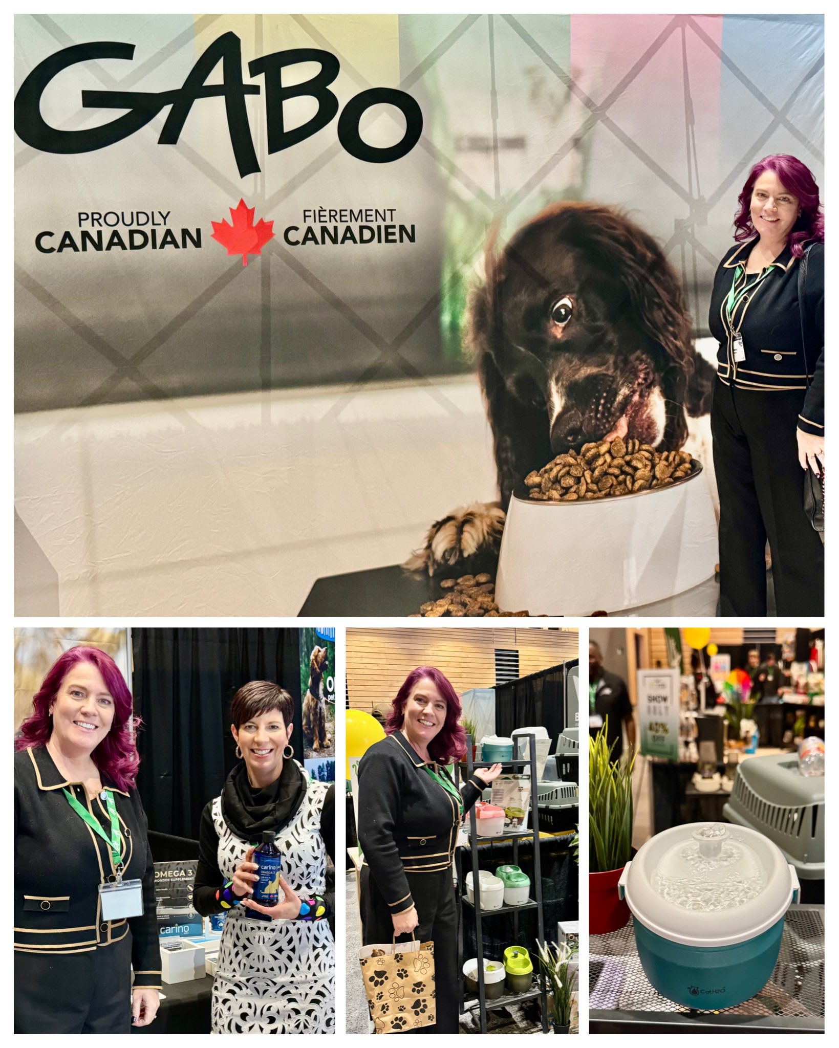 Touch of a Paw Spa Oshawa