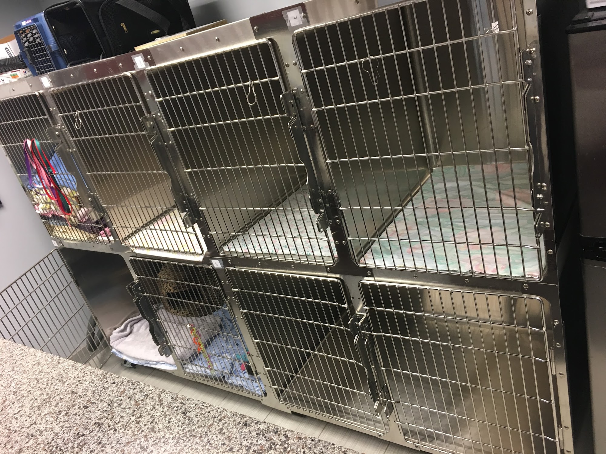 Bloor Street Animal Hospital Oshawa