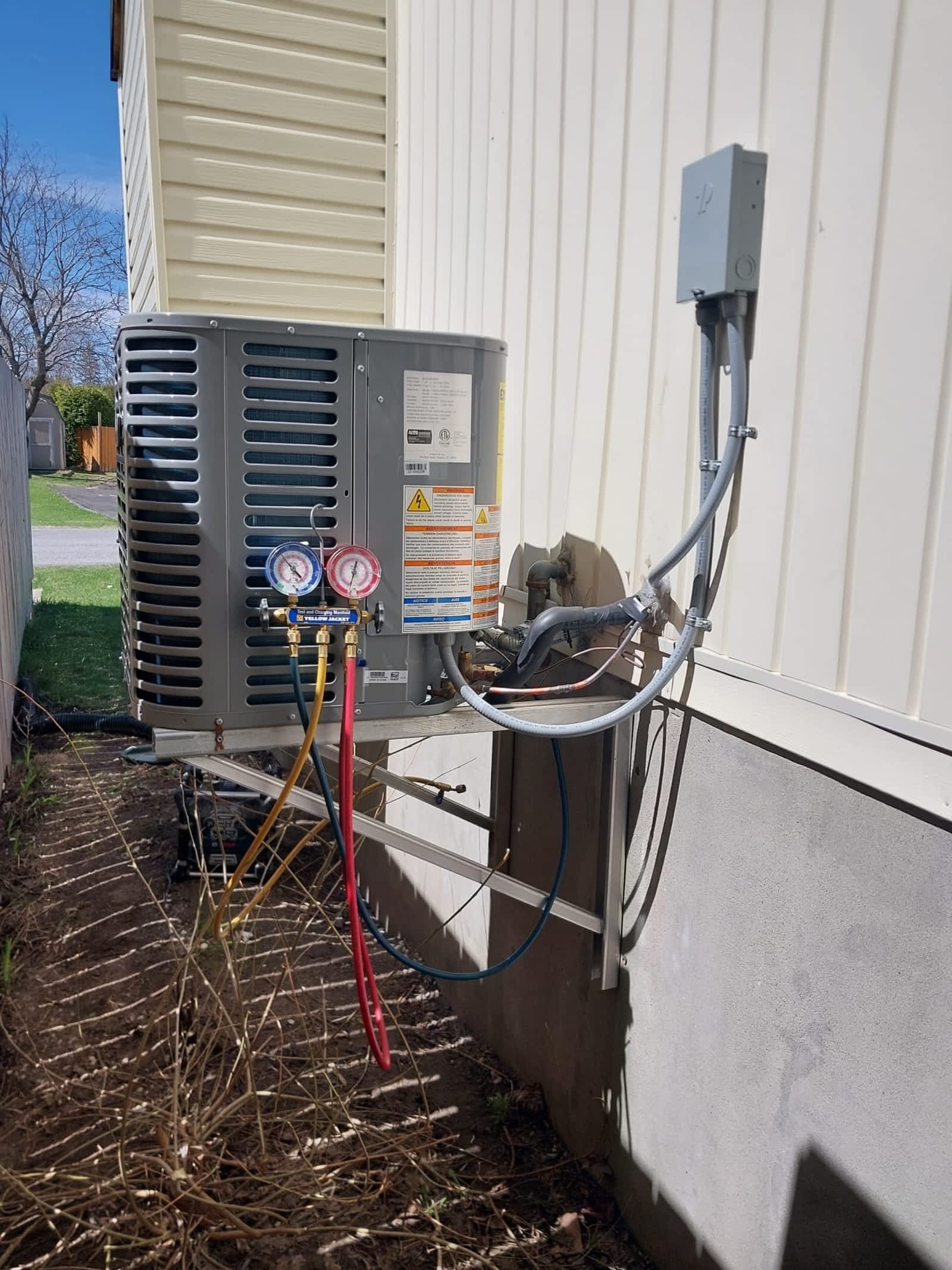 Photo credit: yellowpages.ca