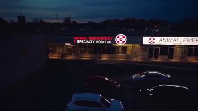 Animal Emergency & Specialty Hospital Ottawa