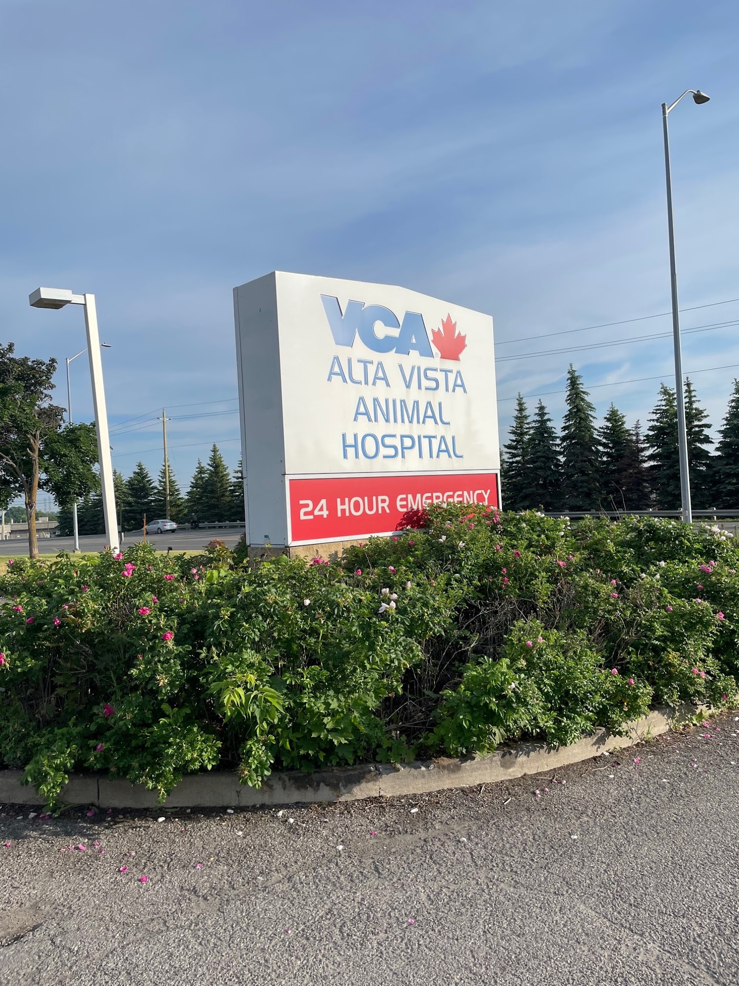 VCA Canada Alta Vista Animal Hospital Ottawa
