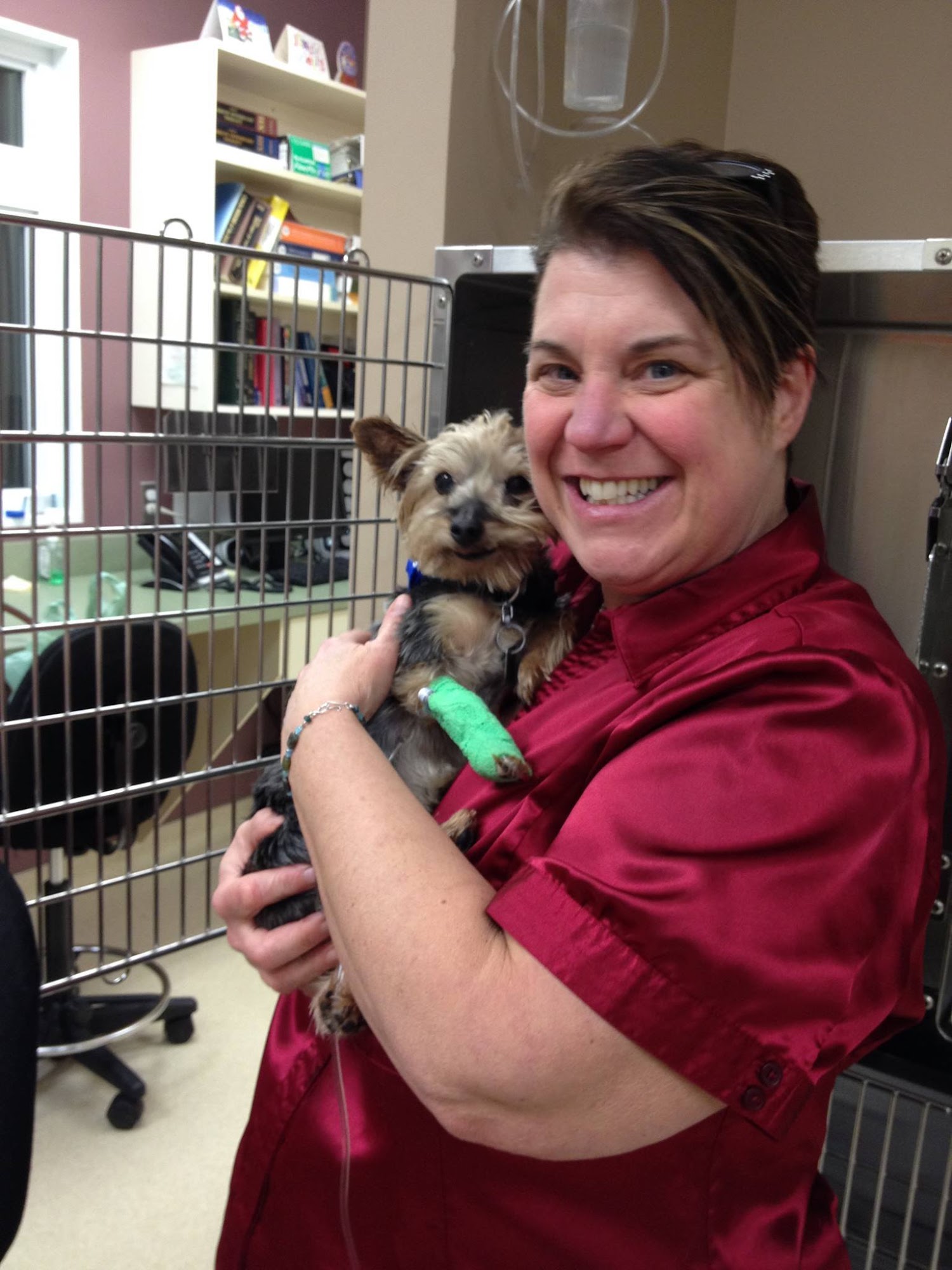 Dayna's Pet Sitting Inc. Ottawa