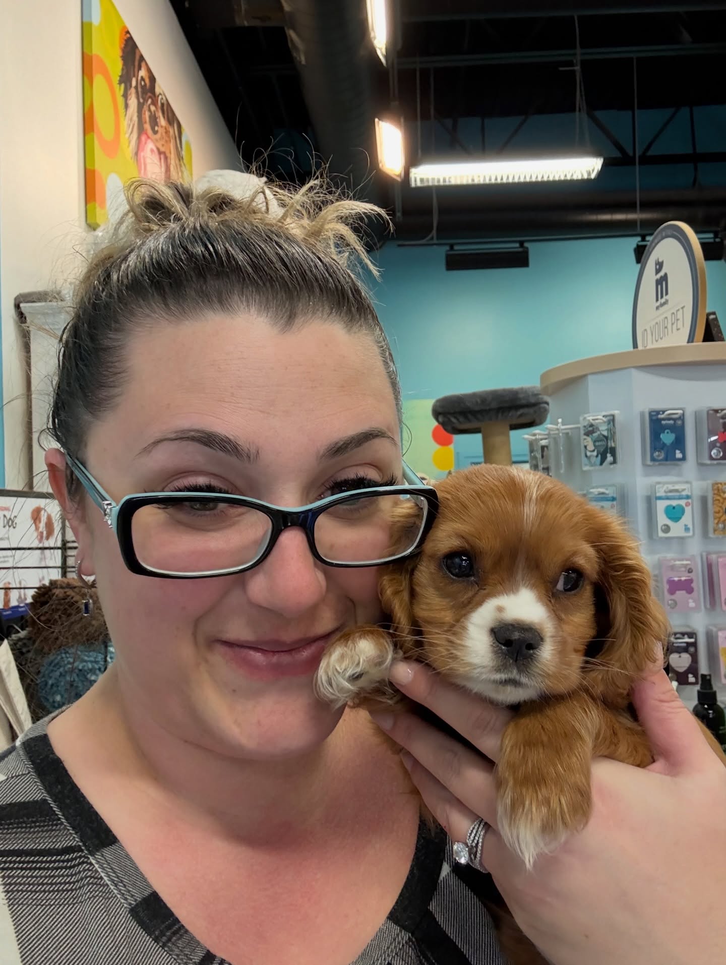 Dayna's Pet Sitting Inc. Ottawa