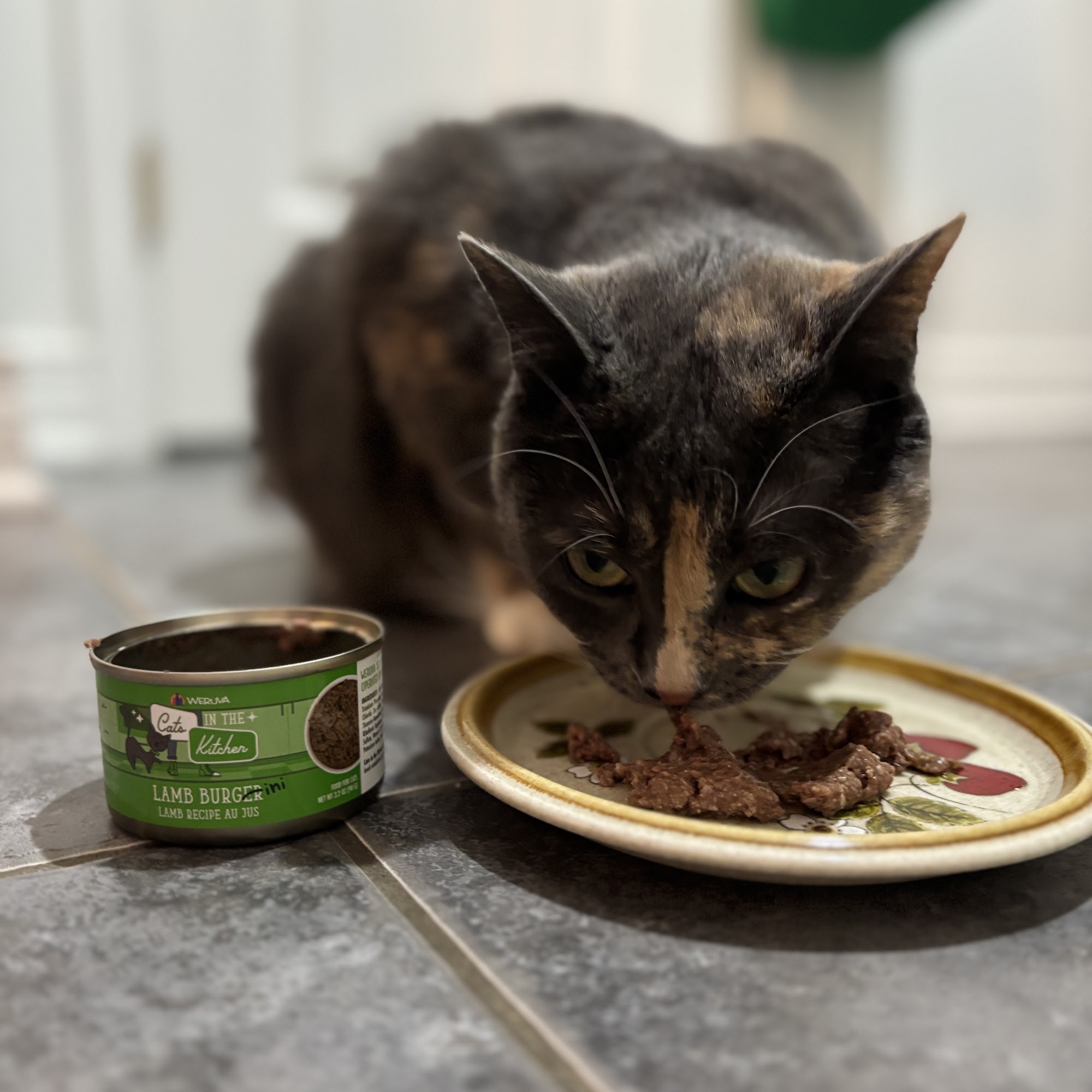 Healthy Pets HQ Ottawa