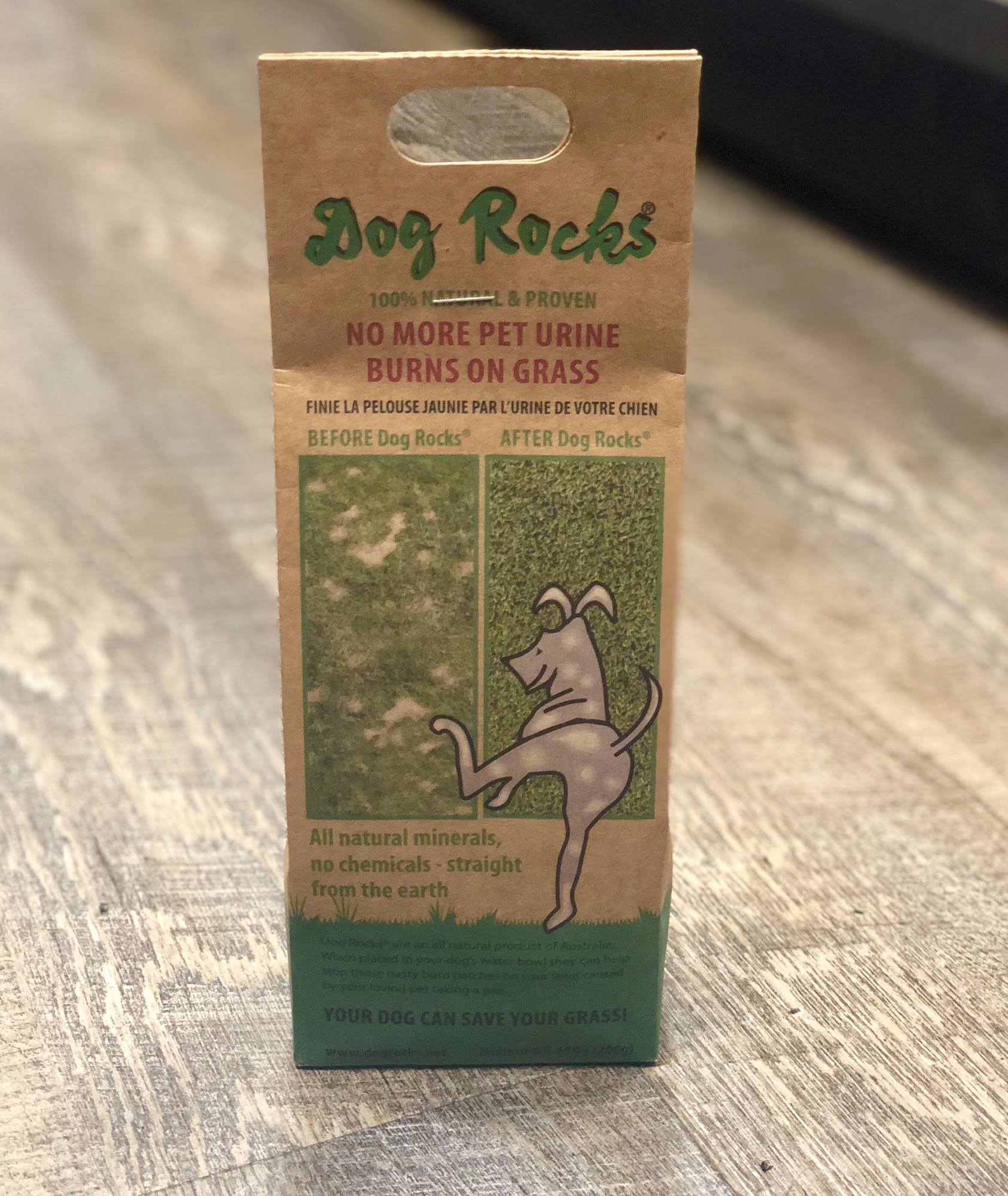 Global Pet Foods Hintonburg Ottawa