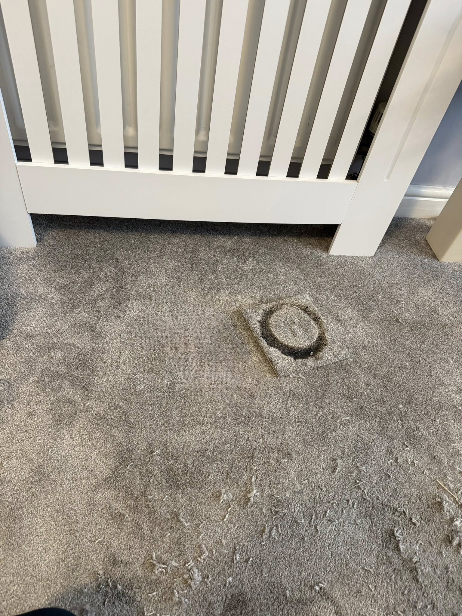 The Carpet Repair Guys