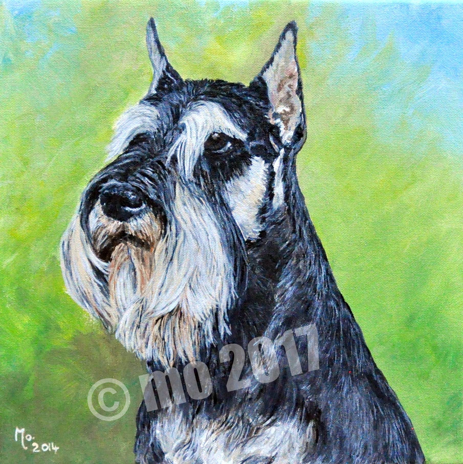 About A Dog Owen Sound