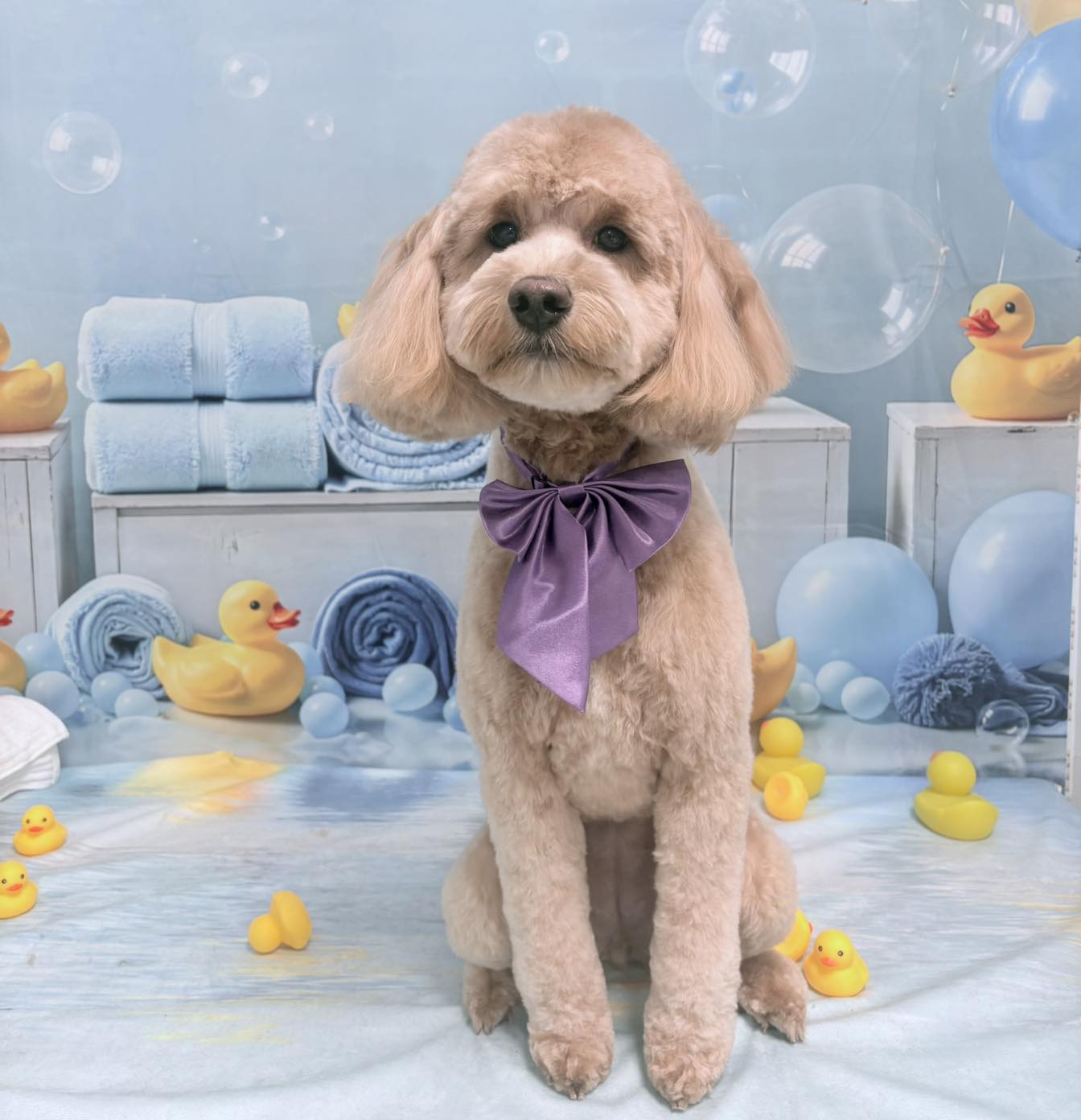 DOGS by Kate Pembroke