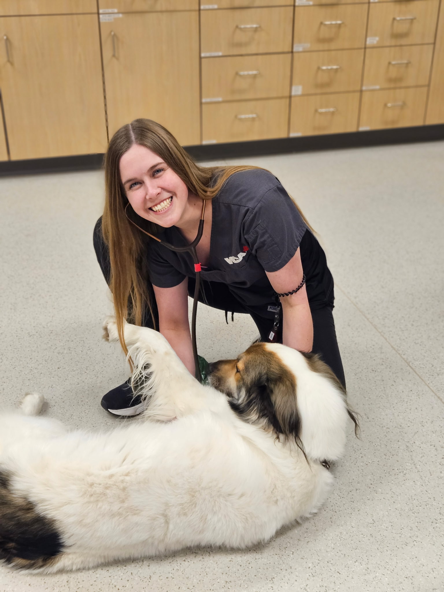 VCA Canada Burnham Mansion Animal Hospital Peterborough