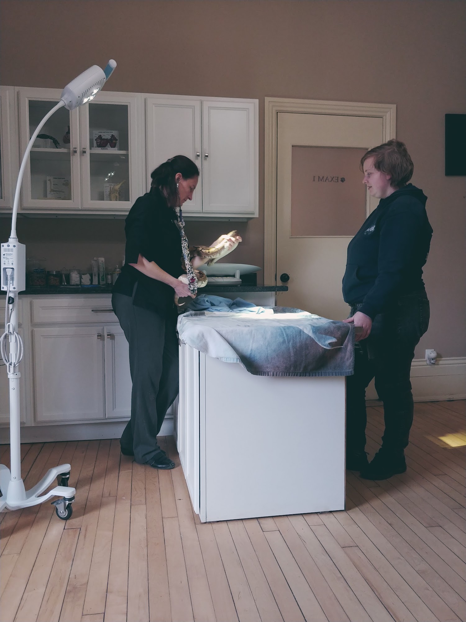 VCA Canada Burnham Mansion Animal Hospital Peterborough