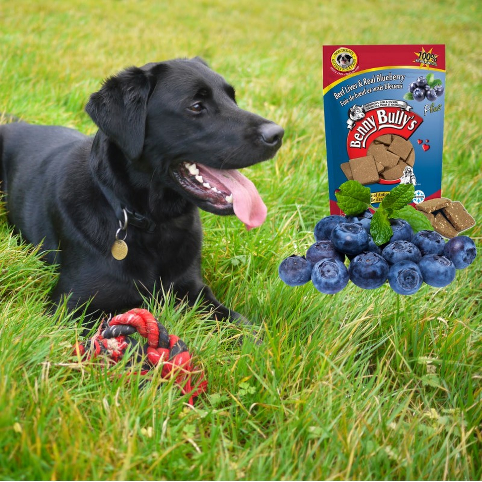 Pet Supply Warehouse Peterborough