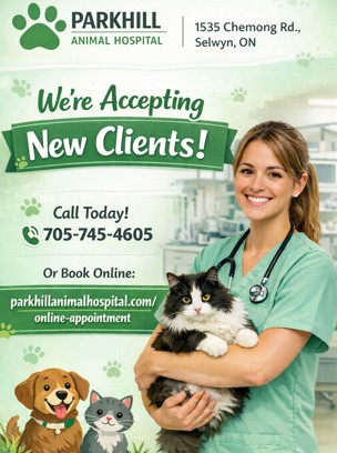 Parkhill Animal Hospital Peterborough
