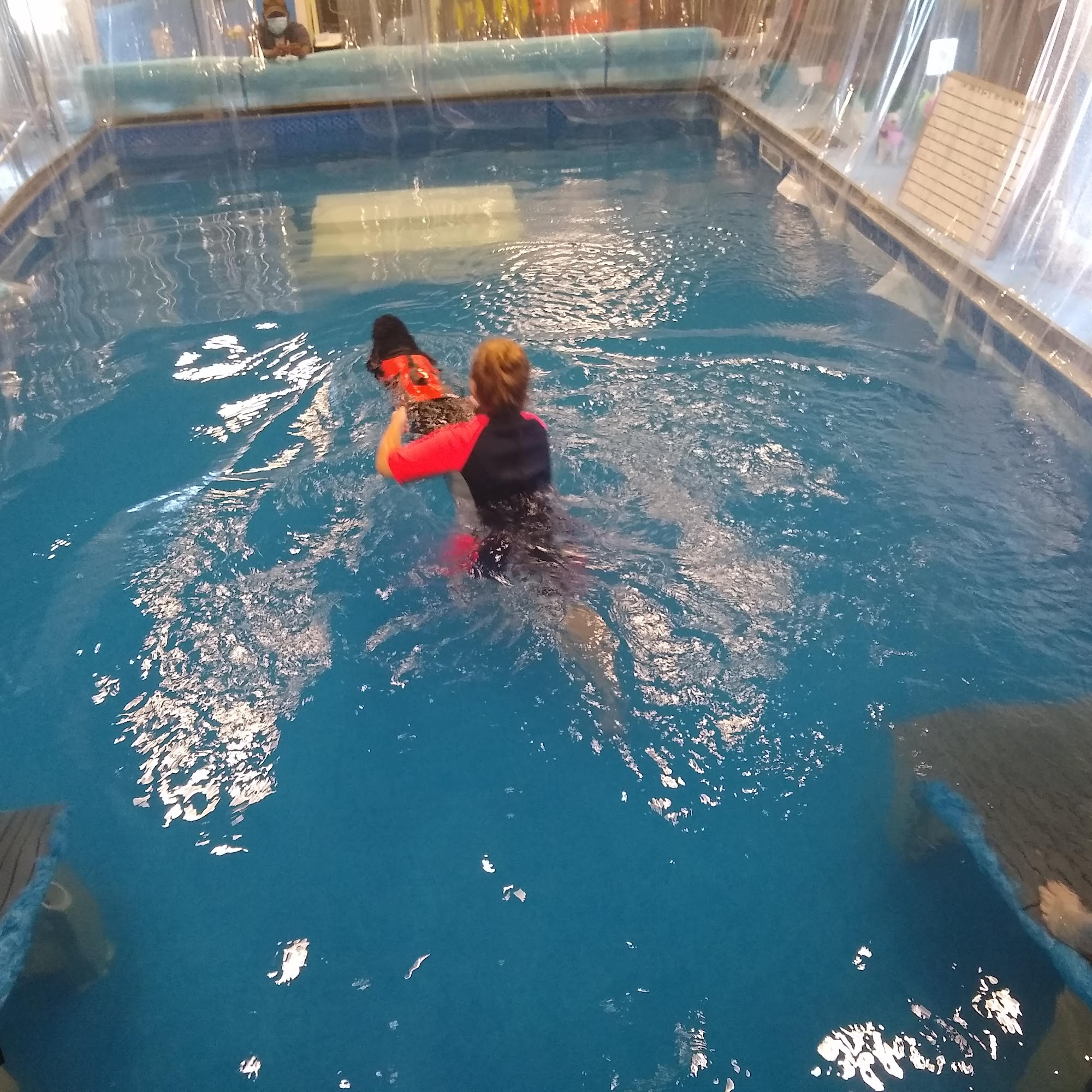 The Indoor Dog Pool & Fitness Centre Inc. Pickering