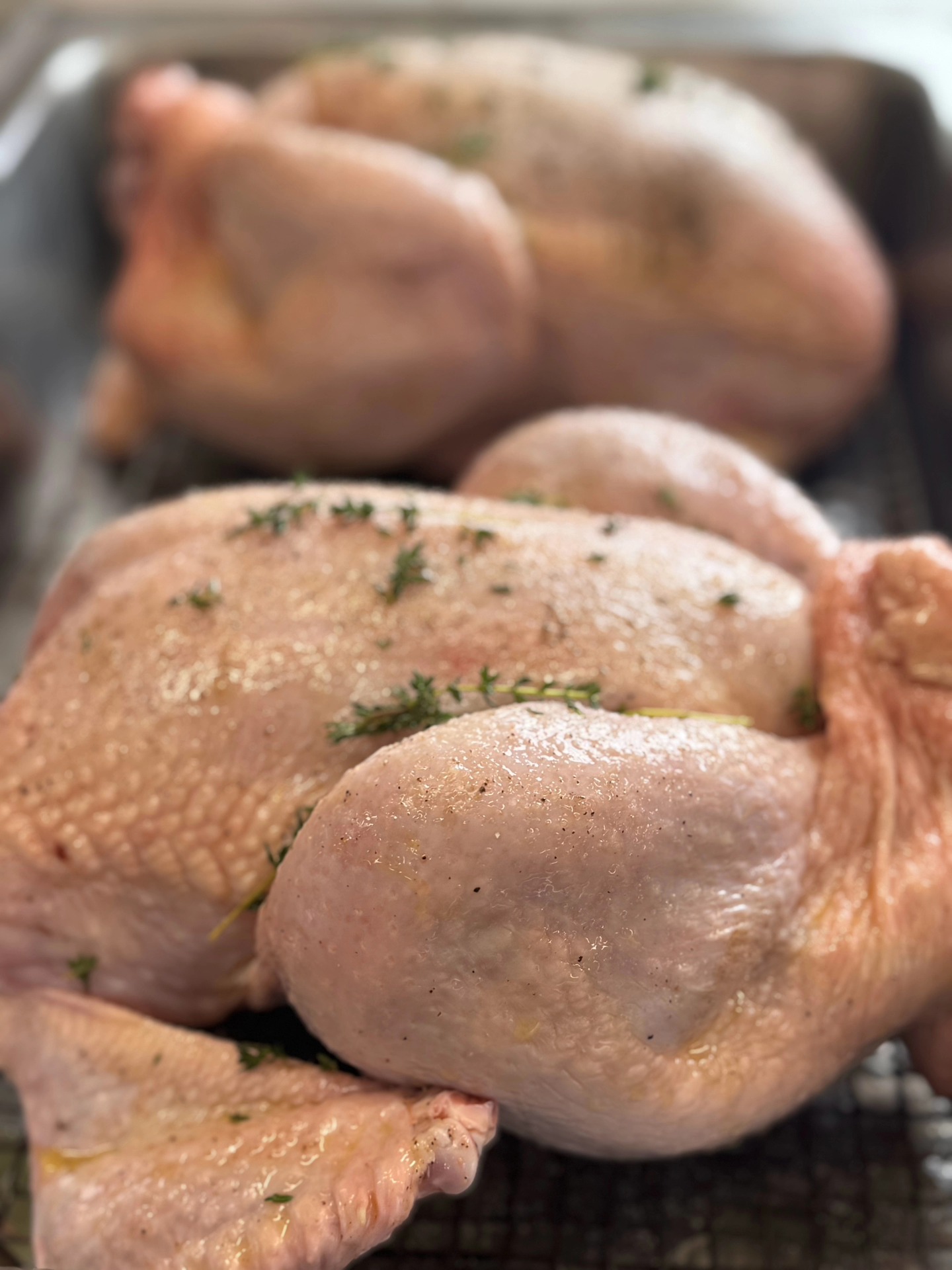 Waupoos Estates Winery & Restaurant Picton