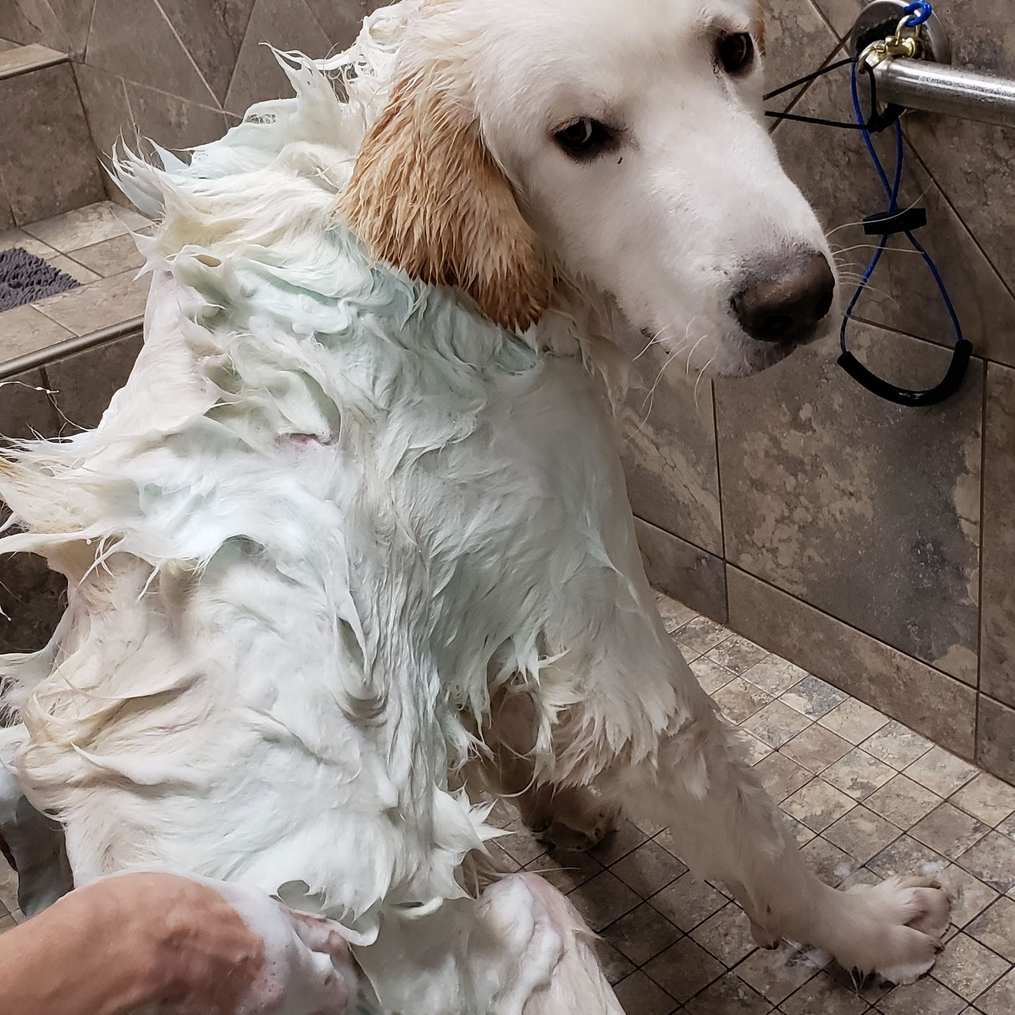 Pet Valu Port Colborne