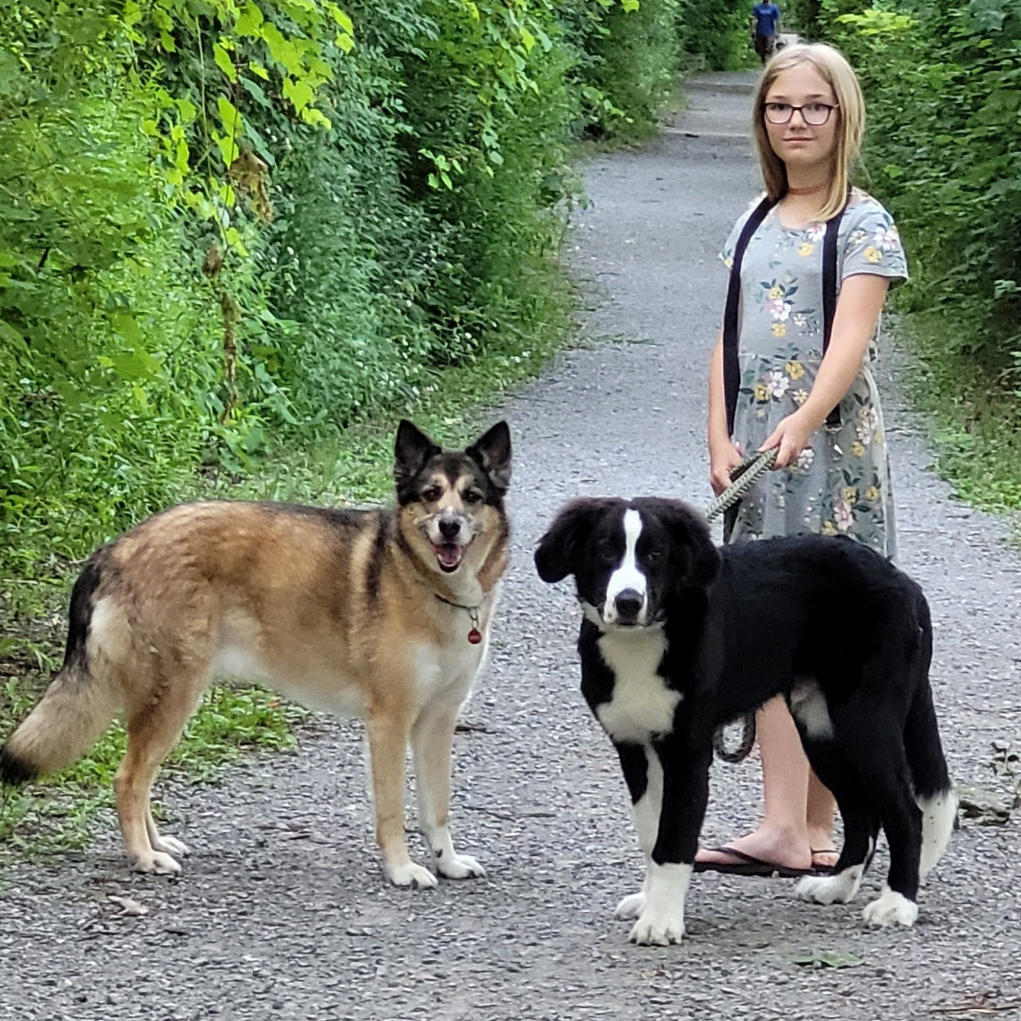 Pawsitively Pampered Port Colborne
