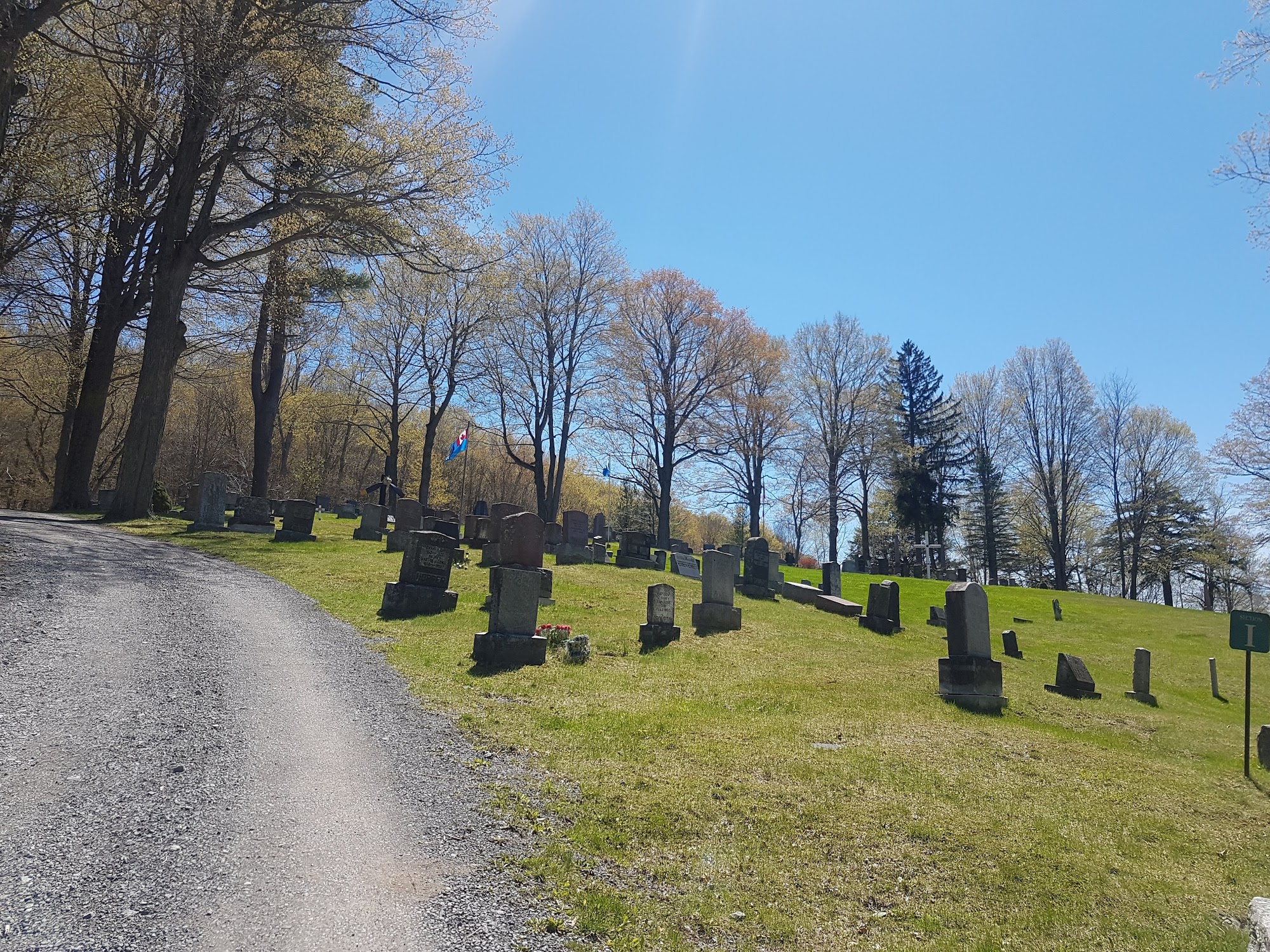 Prince Edward Dog Park Prince Edward