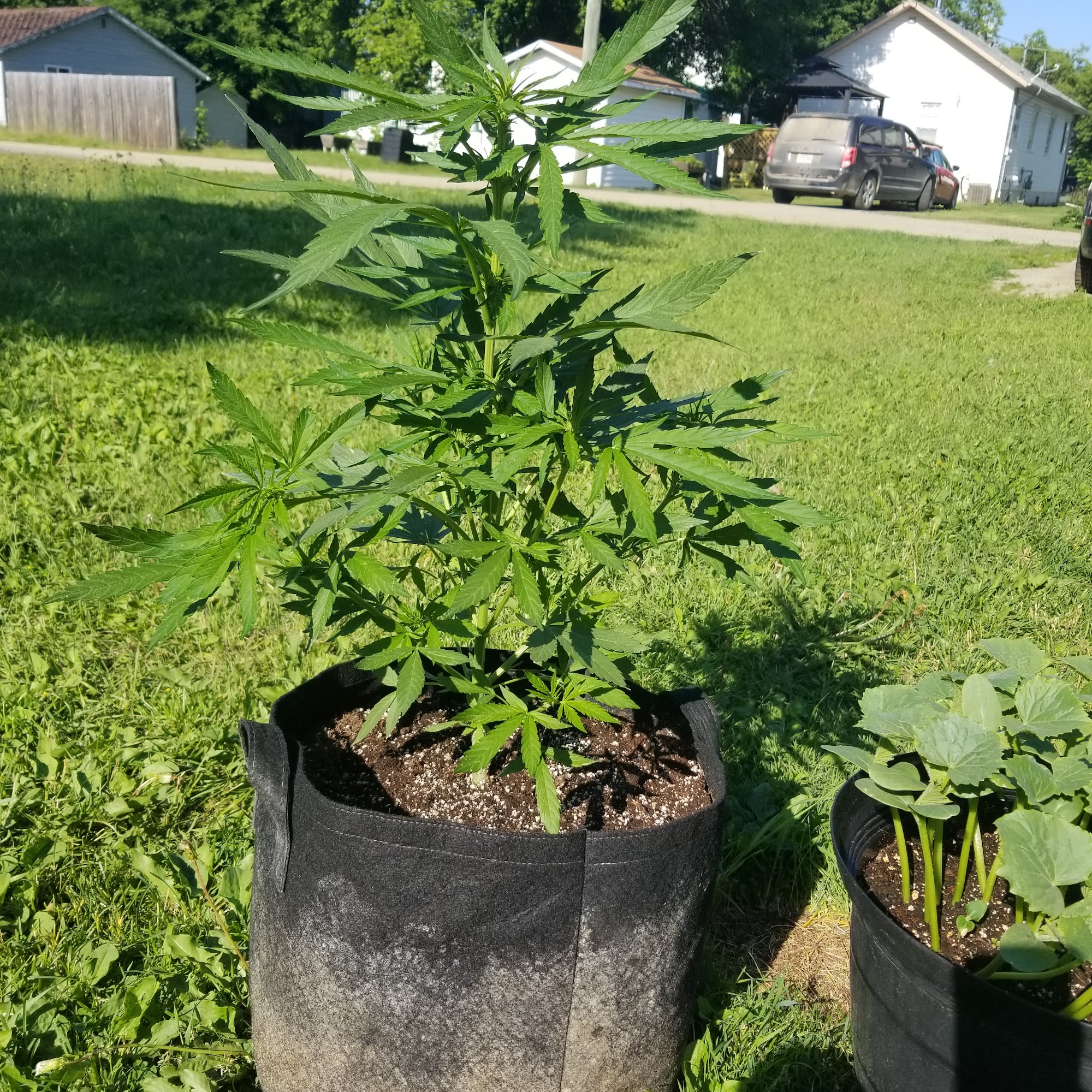 Canada Post Rainy River